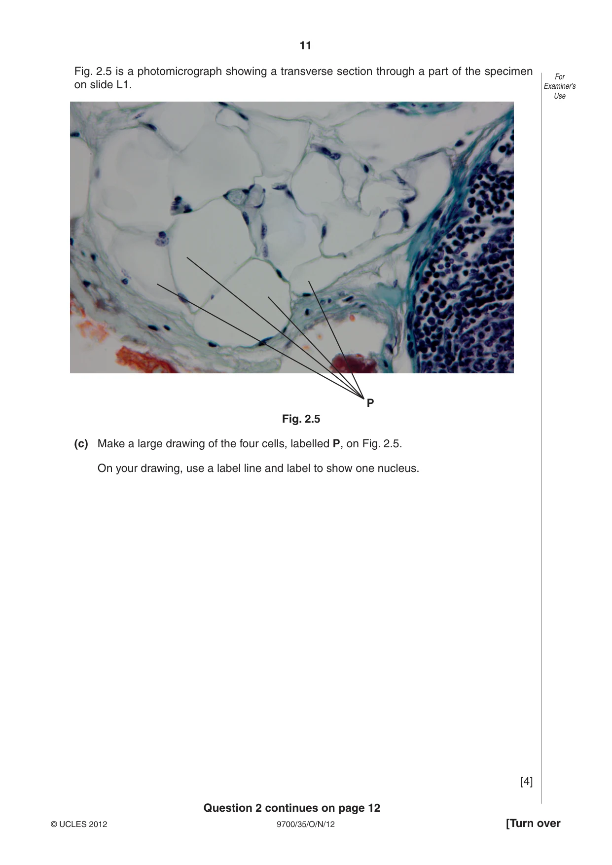 Cambridge A Level Biology 9700 2012 Oct/Nov Paper 3 · Variant 5 question paper, page 11 of 12
