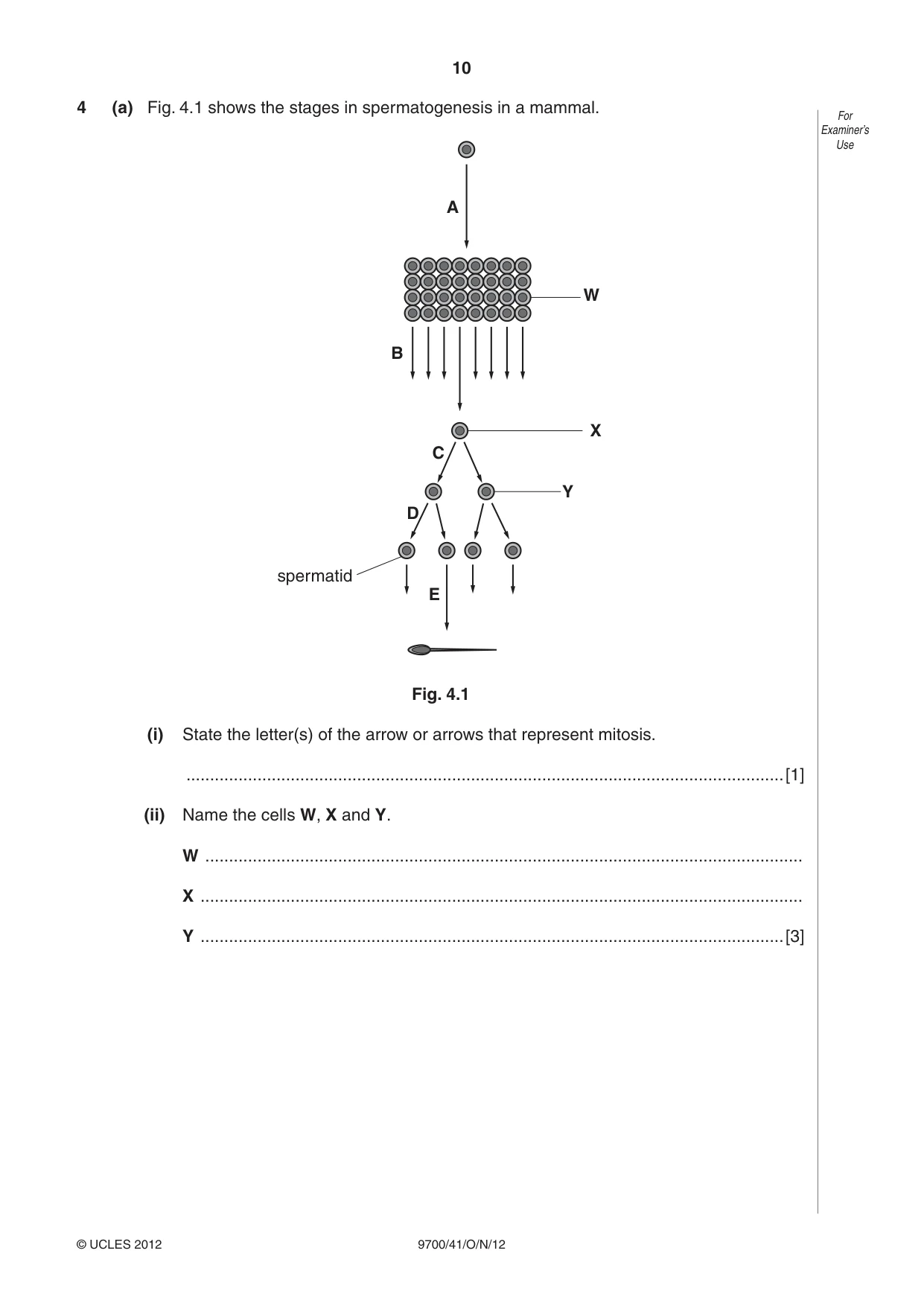 Cambridge A Level Biology 9700 2012 Oct/Nov Paper 4 · Variant 1 question paper, page 10 of 24