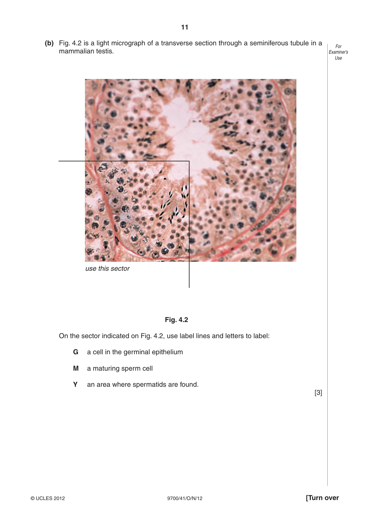 Cambridge A Level Biology 9700 2012 Oct/Nov Paper 4 · Variant 1 question paper, page 11 of 24