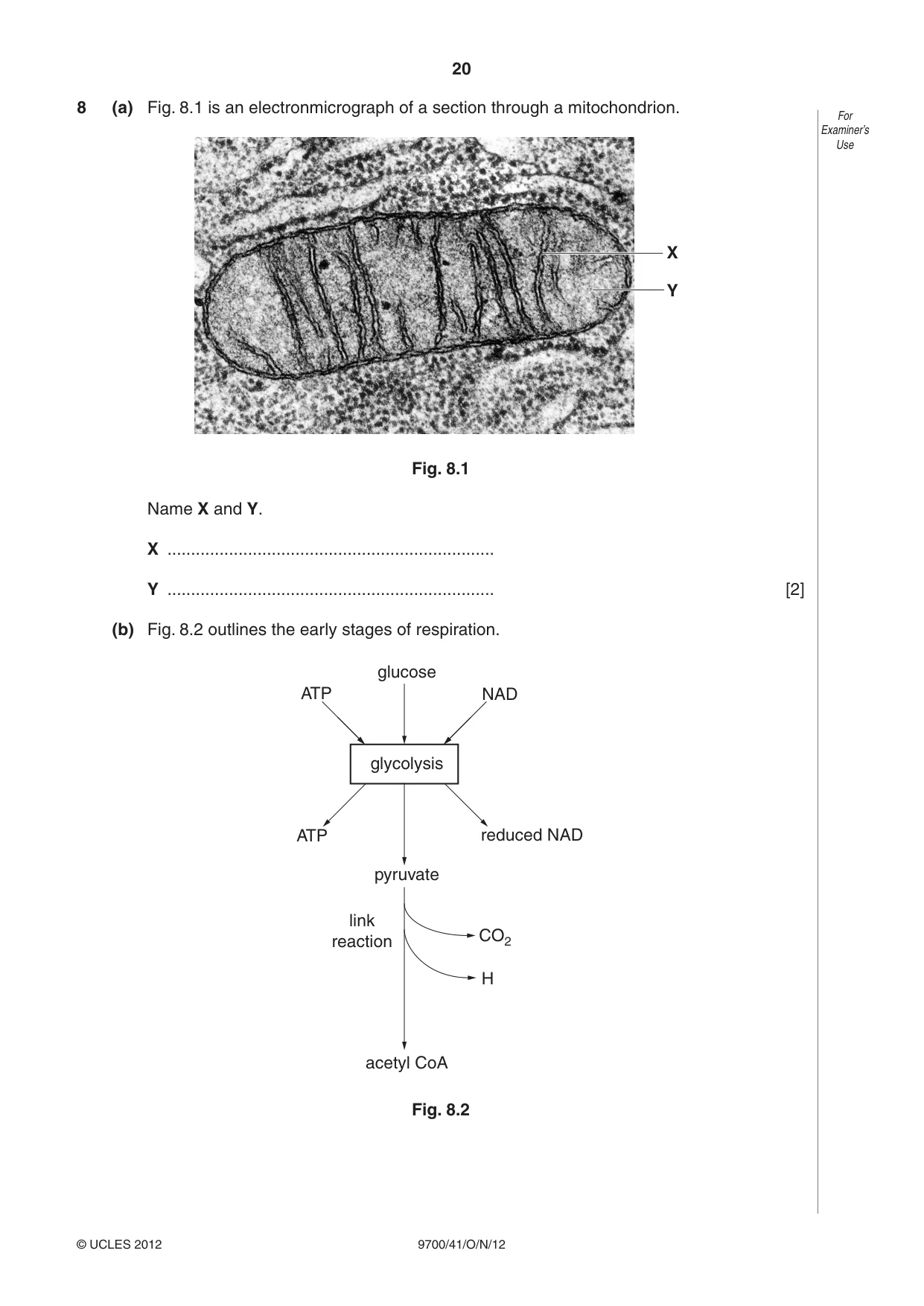 Cambridge A Level Biology 9700 2012 Oct/Nov Paper 4 · Variant 1 question paper, page 20 of 24