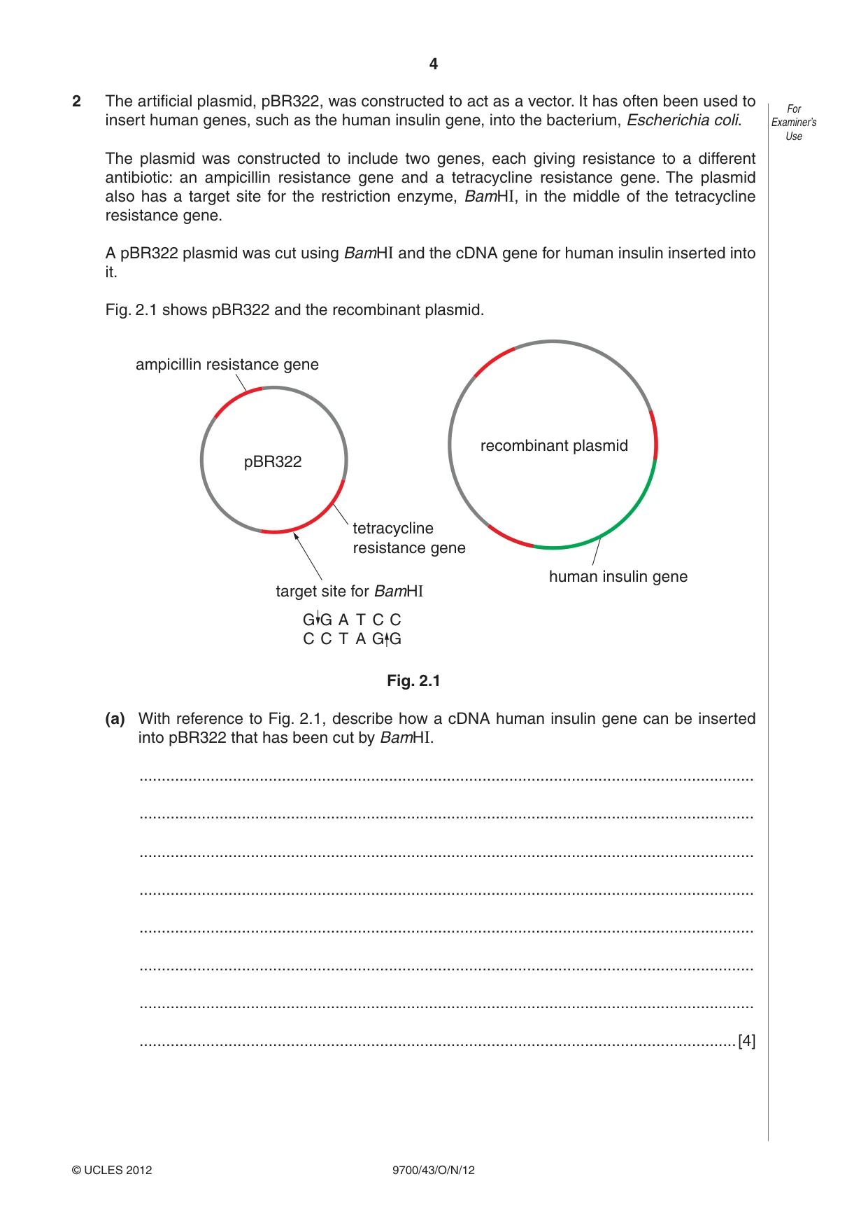 Cambridge A Level Biology 9700 2012 Oct/Nov Paper 4 · Variant 3 question paper, page 4 of 24