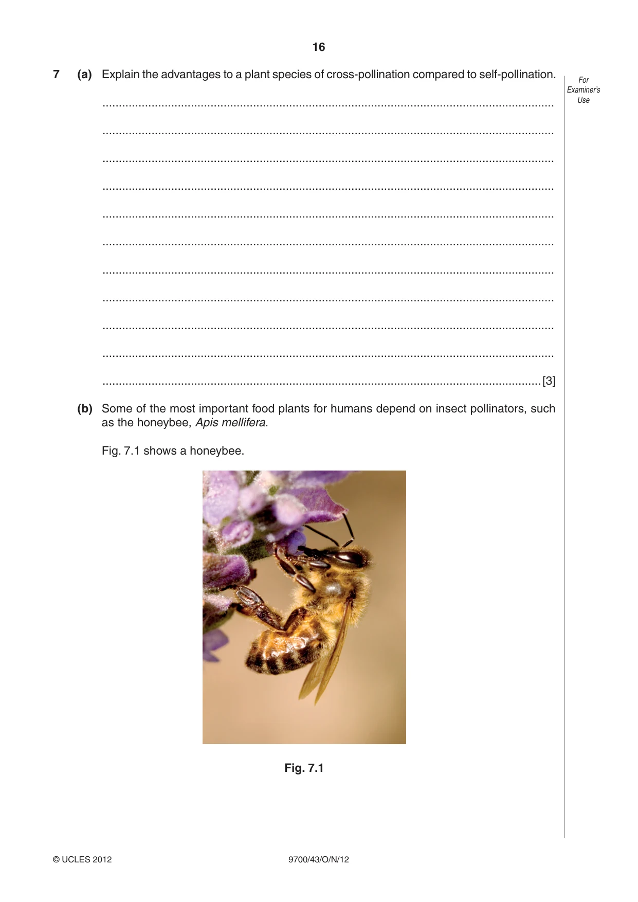 Cambridge A Level Biology 9700 2012 Oct/Nov Paper 4 · Variant 3 question paper, page 16 of 24
