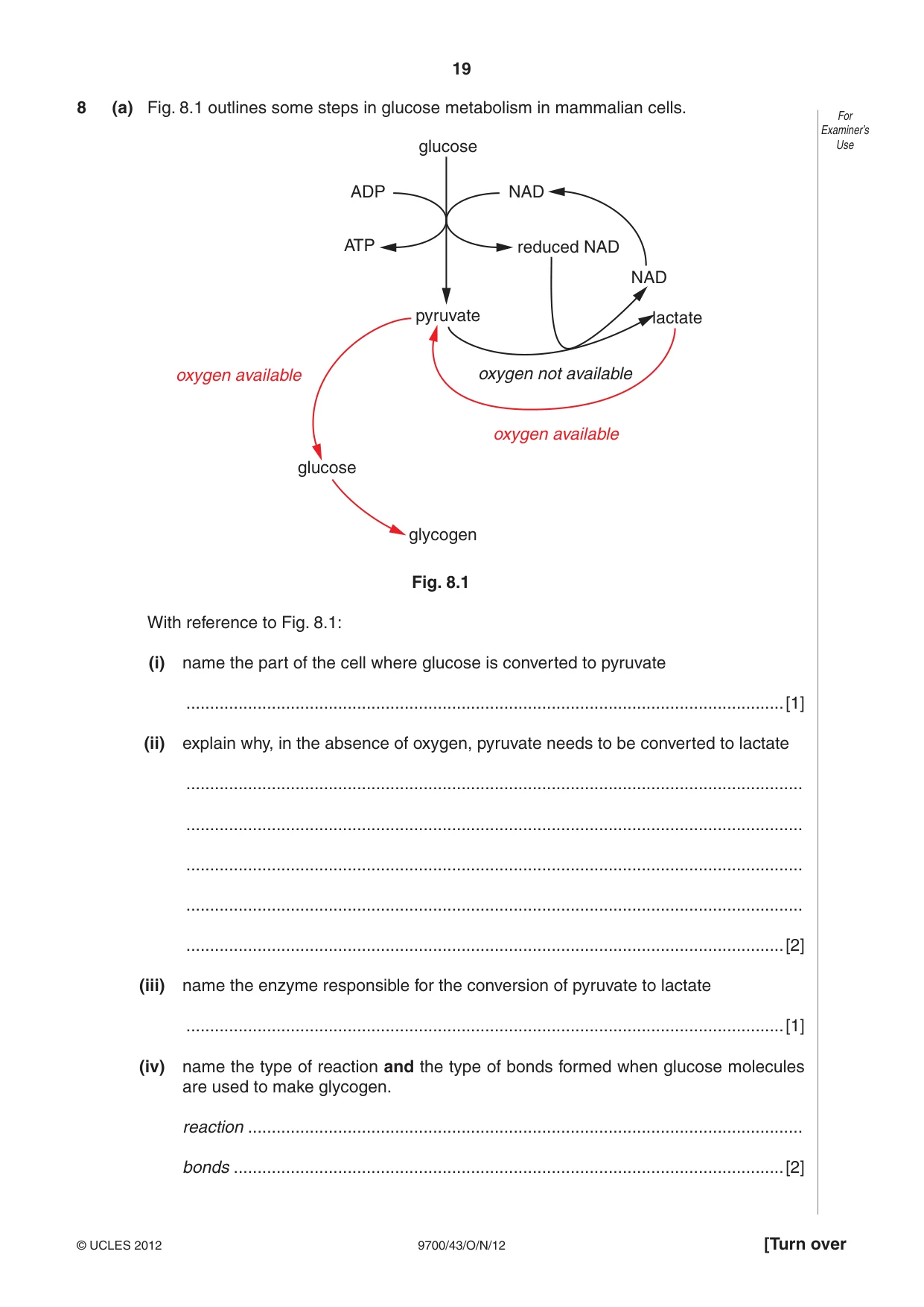 Cambridge A Level Biology 9700 2012 Oct/Nov Paper 4 · Variant 3 question paper, page 19 of 24