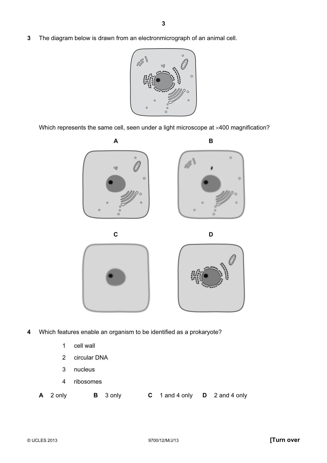Cambridge A Level Biology 9700 2013 May/June Paper 1 · Variant 2 question paper, page 3 of 20