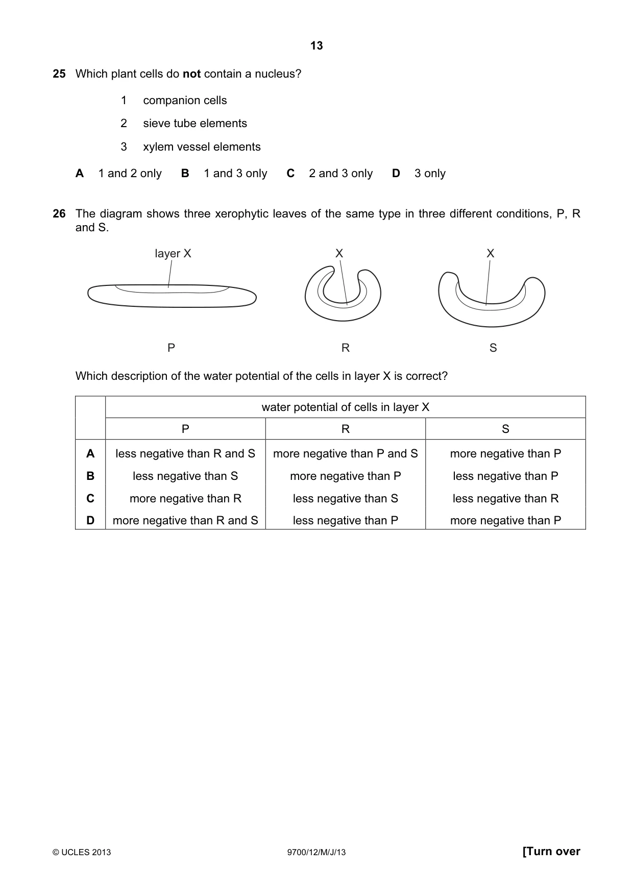 Cambridge A Level Biology 9700 2013 May/June Paper 1 · Variant 2 question paper, page 13 of 20