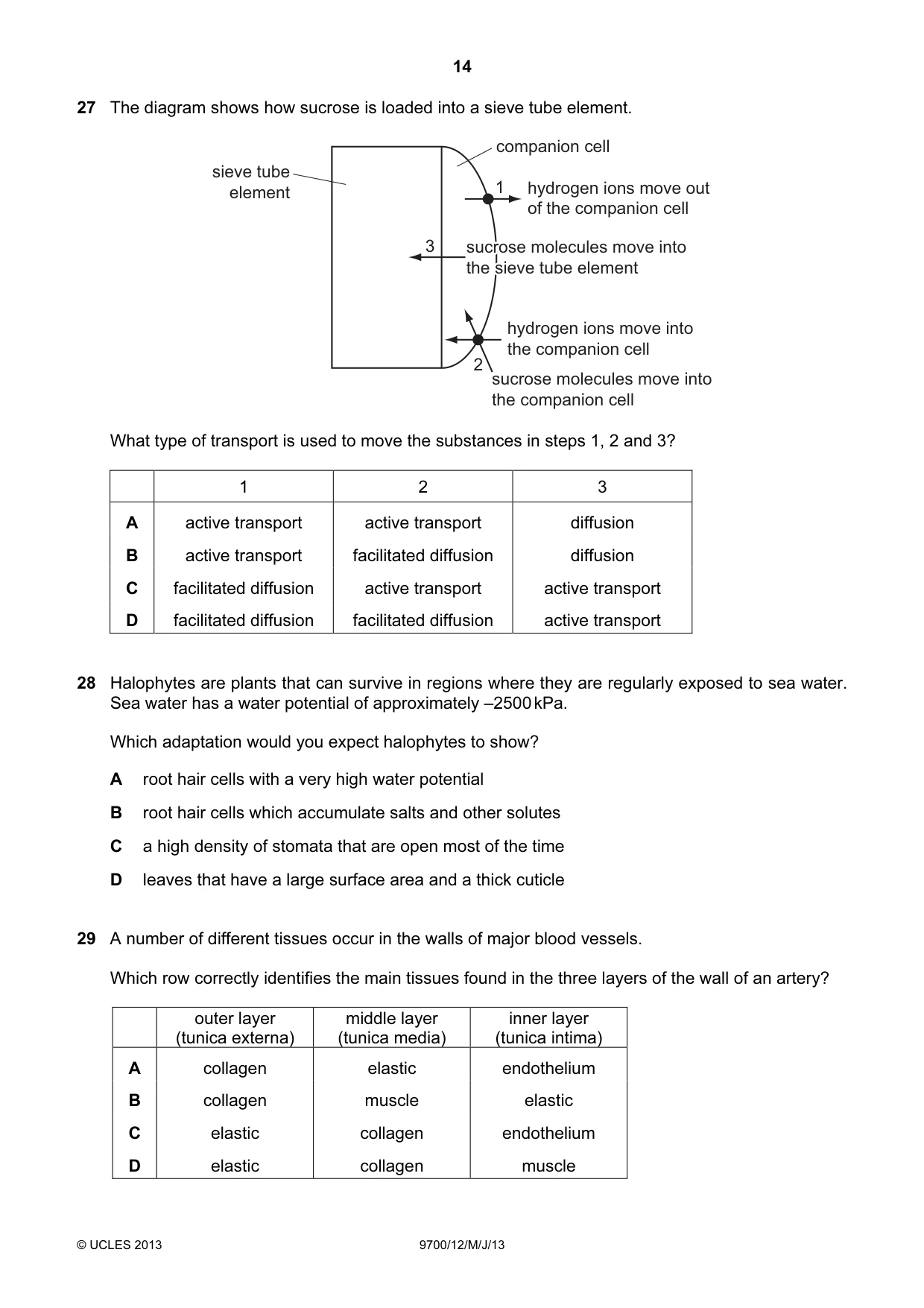 Cambridge A Level Biology 9700 2013 May/June Paper 1 · Variant 2 question paper, page 14 of 20