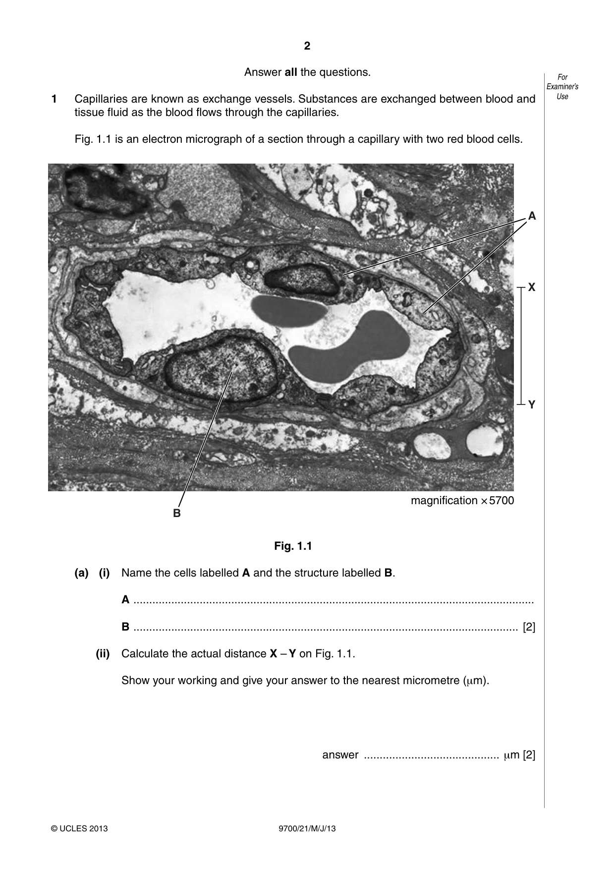 Cambridge A Level Biology 9700 2013 May/June Paper 2 · Variant 1 question paper, page 2 of 12