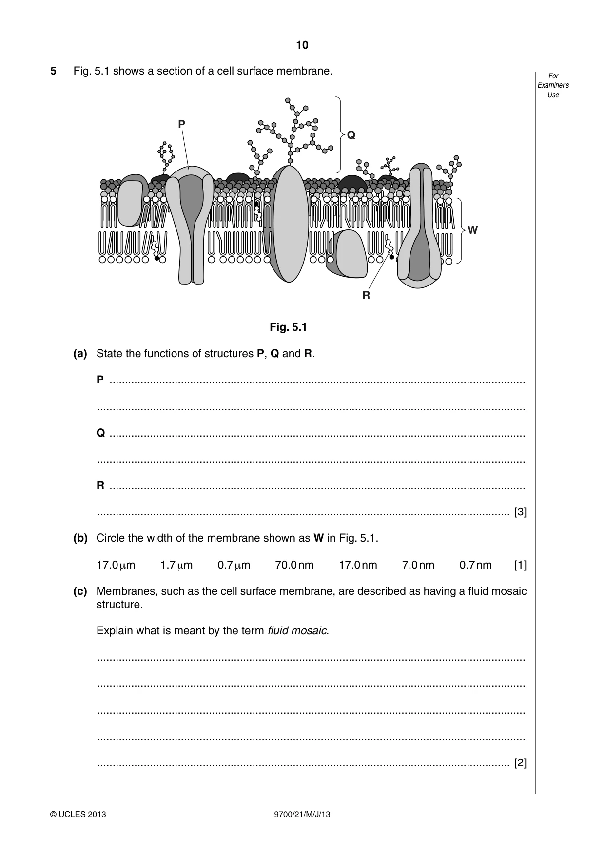 Cambridge A Level Biology 9700 2013 May/June Paper 2 · Variant 1 question paper, page 10 of 12