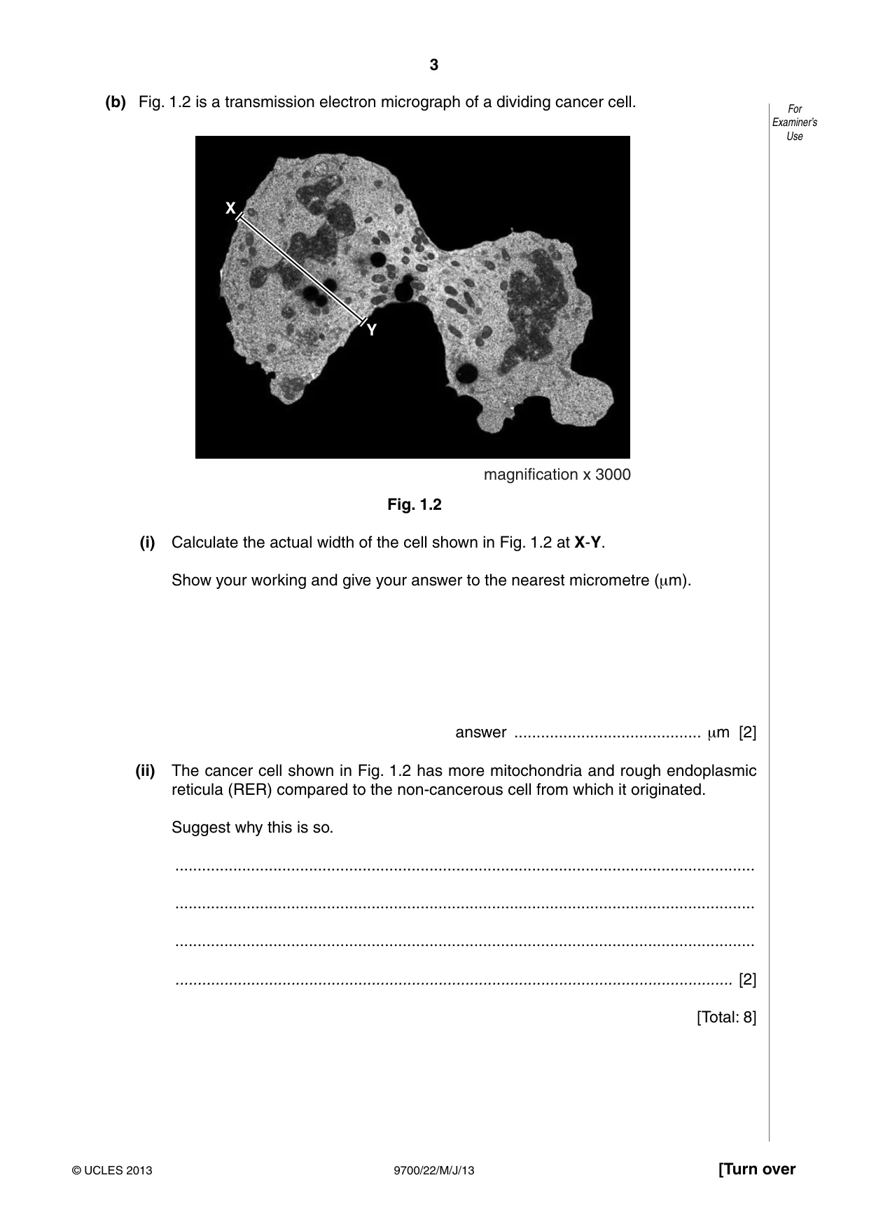 Cambridge A Level Biology 9700 2013 May/June Paper 2 · Variant 2 question paper, page 3 of 16