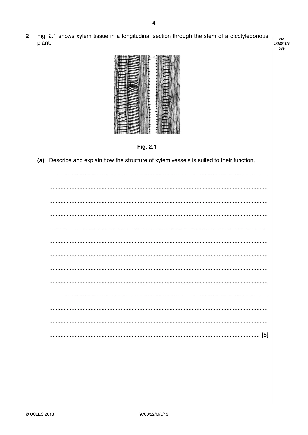 Cambridge A Level Biology 9700 2013 May/June Paper 2 · Variant 2 question paper, page 4 of 16