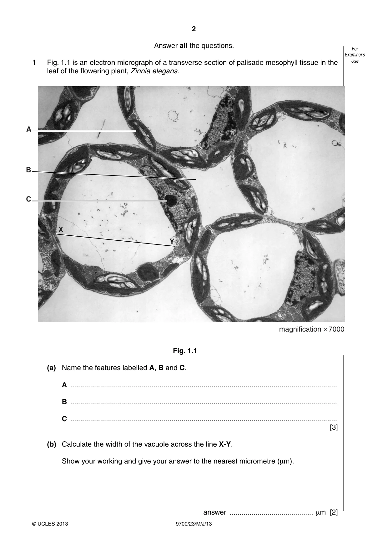 Cambridge A Level Biology 9700 2013 May/June Paper 2 · Variant 3 question paper, page 2 of 12
