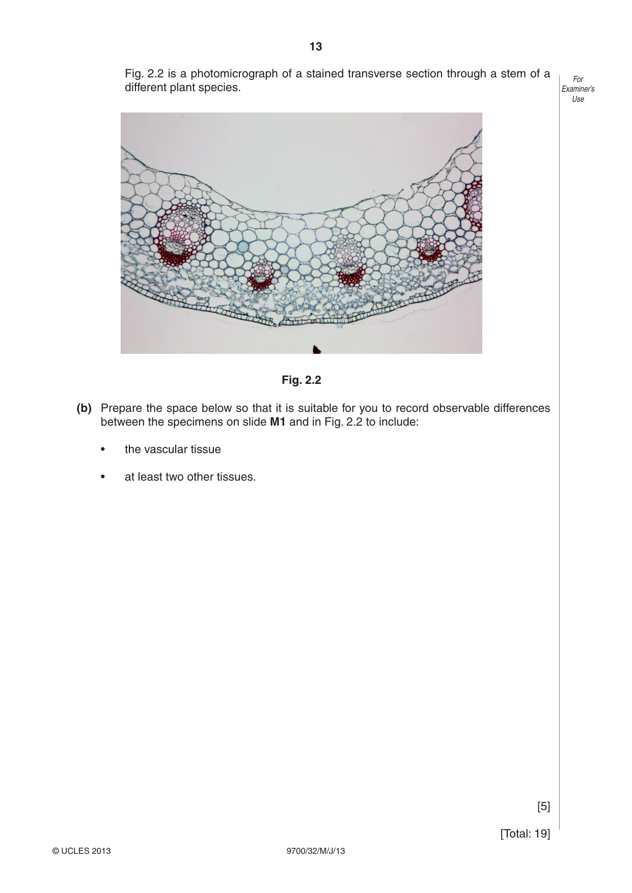 Cambridge A Level Biology 9700 2013 May/June Paper 3 · Variant 2 question paper, page 13 of 16