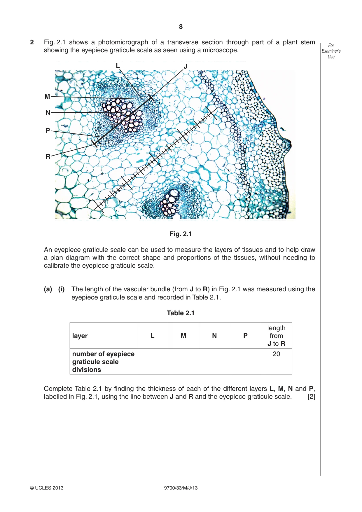 Cambridge A Level Biology 9700 2013 May/June Paper 3 · Variant 3 question paper, page 8 of 12