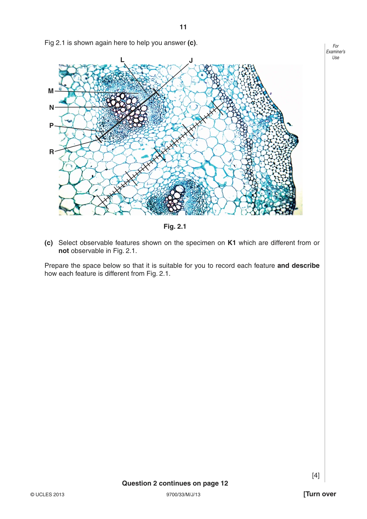 Cambridge A Level Biology 9700 2013 May/June Paper 3 · Variant 3 question paper, page 11 of 12