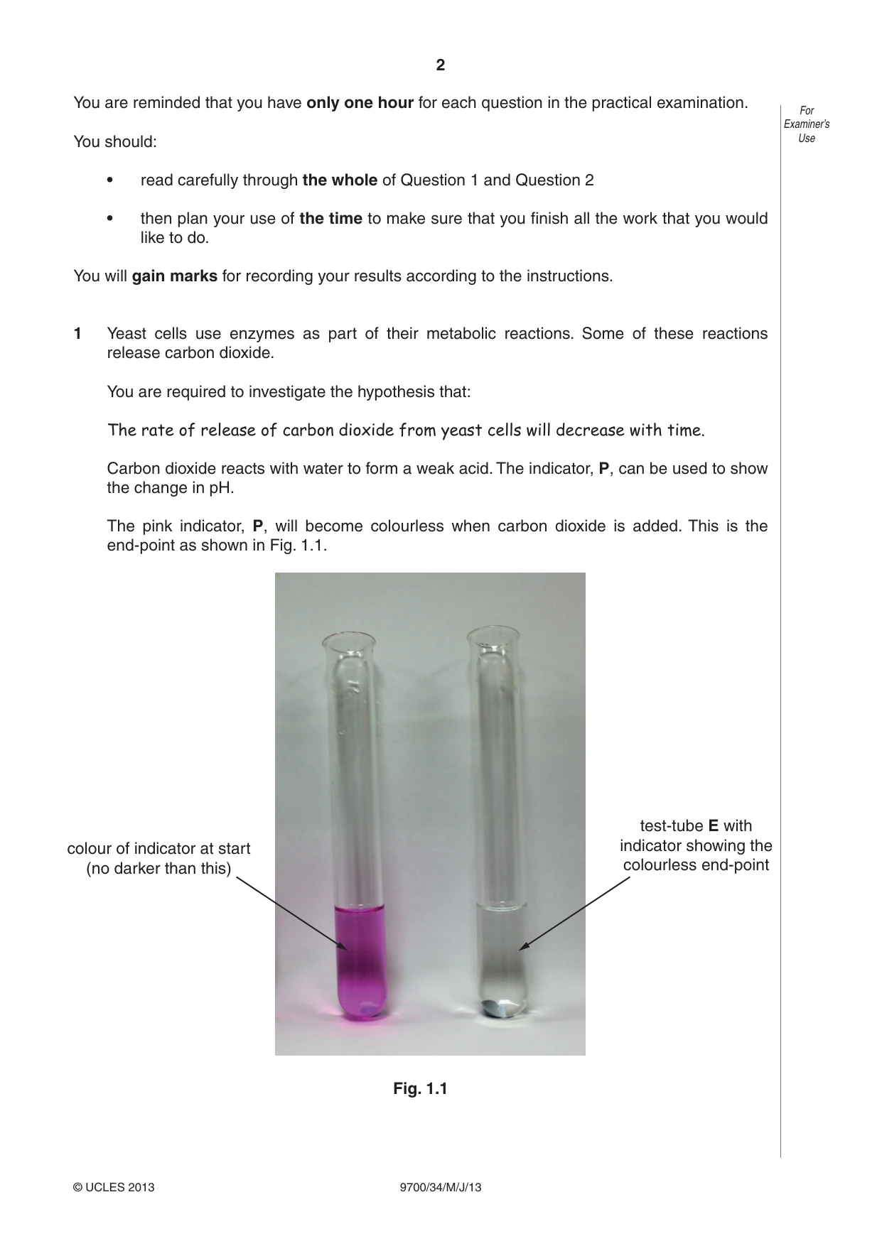 Cambridge A Level Biology 9700 2013 May/June Paper 3 · Variant 4 question paper, page 2 of 16