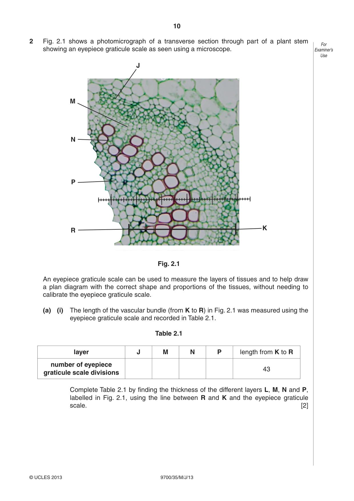 Cambridge A Level Biology 9700 2013 May/June Paper 3 · Variant 5 question paper, page 10 of 16