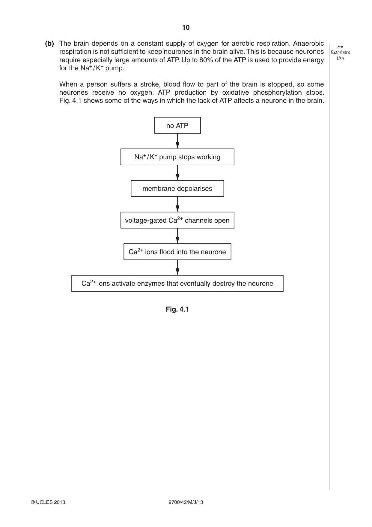 Cambridge A Level Biology 9700 2013 May/June Paper 4 · Variant 2 question paper, page 10 of 24