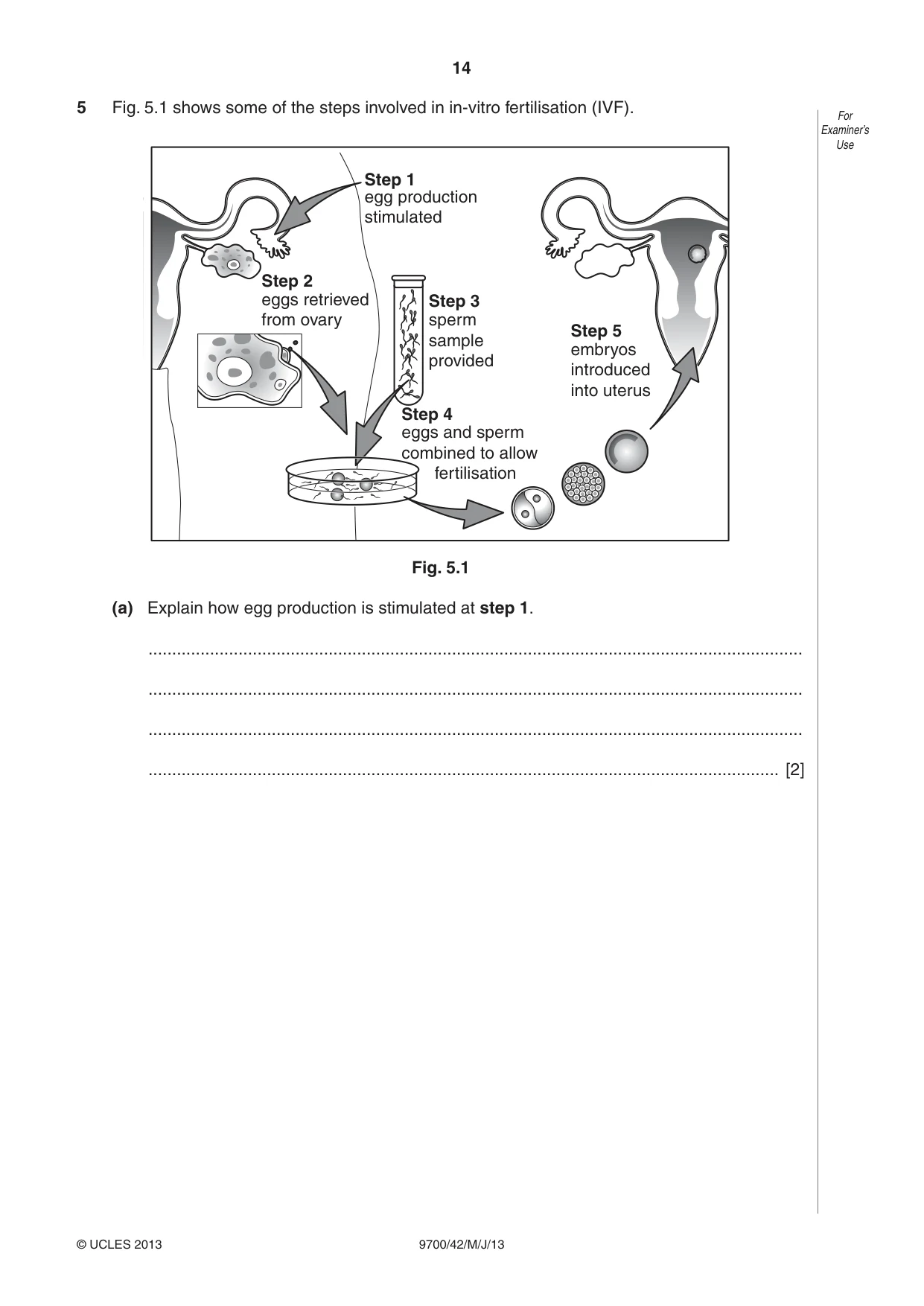 Cambridge A Level Biology 9700 2013 May/June Paper 4 · Variant 2 question paper, page 14 of 24