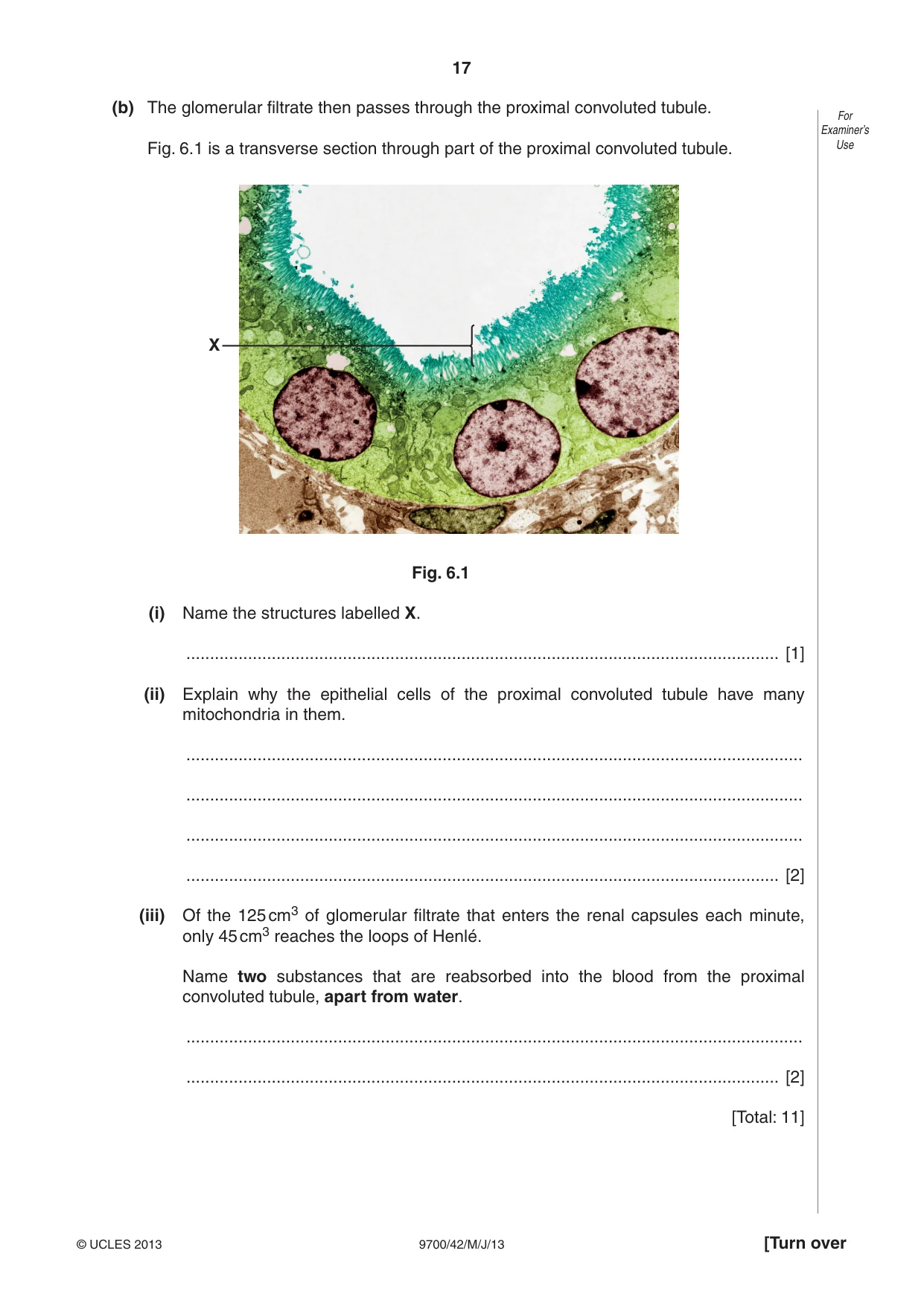 Cambridge A Level Biology 9700 2013 May/June Paper 4 · Variant 2 question paper, page 17 of 24