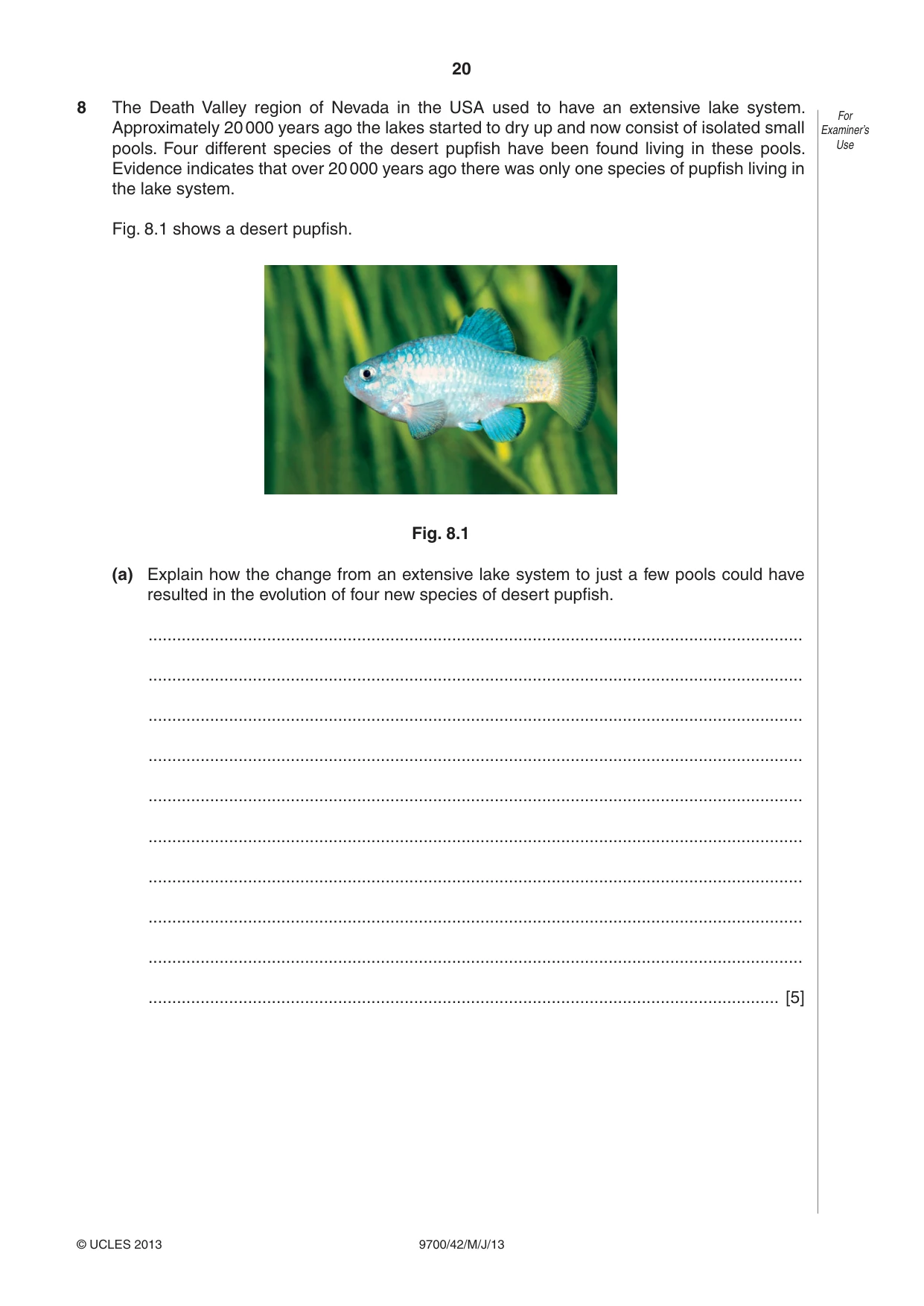 Cambridge A Level Biology 9700 2013 May/June Paper 4 · Variant 2 question paper, page 20 of 24