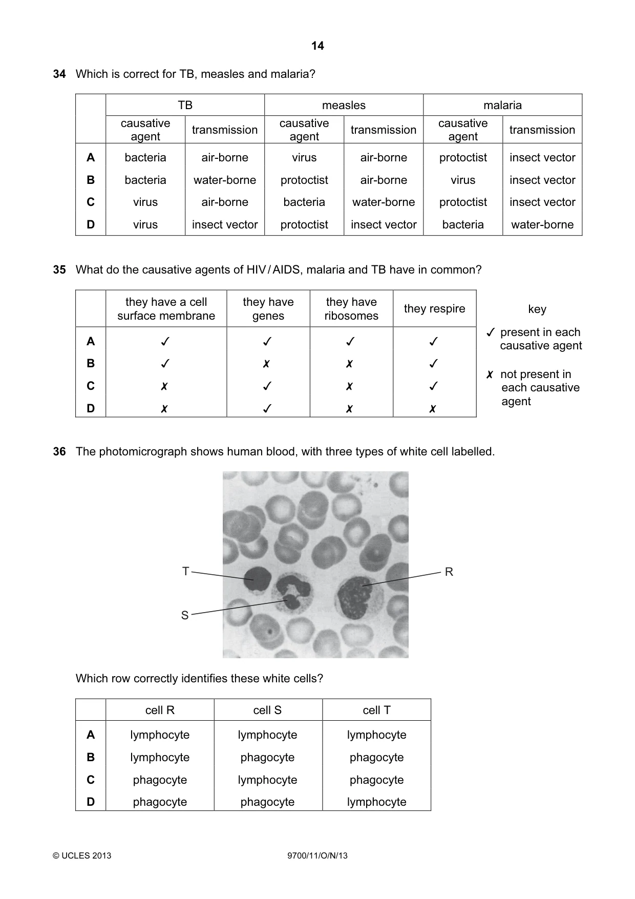 Cambridge A Level Biology 9700 2013 Oct/Nov Paper 1 · Variant 1 question paper, page 14 of 16