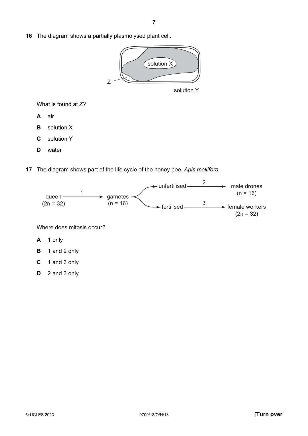 Cambridge A Level Biology 9700 2013 Oct/Nov Paper 1 · Variant 3 question paper, page 7 of 16