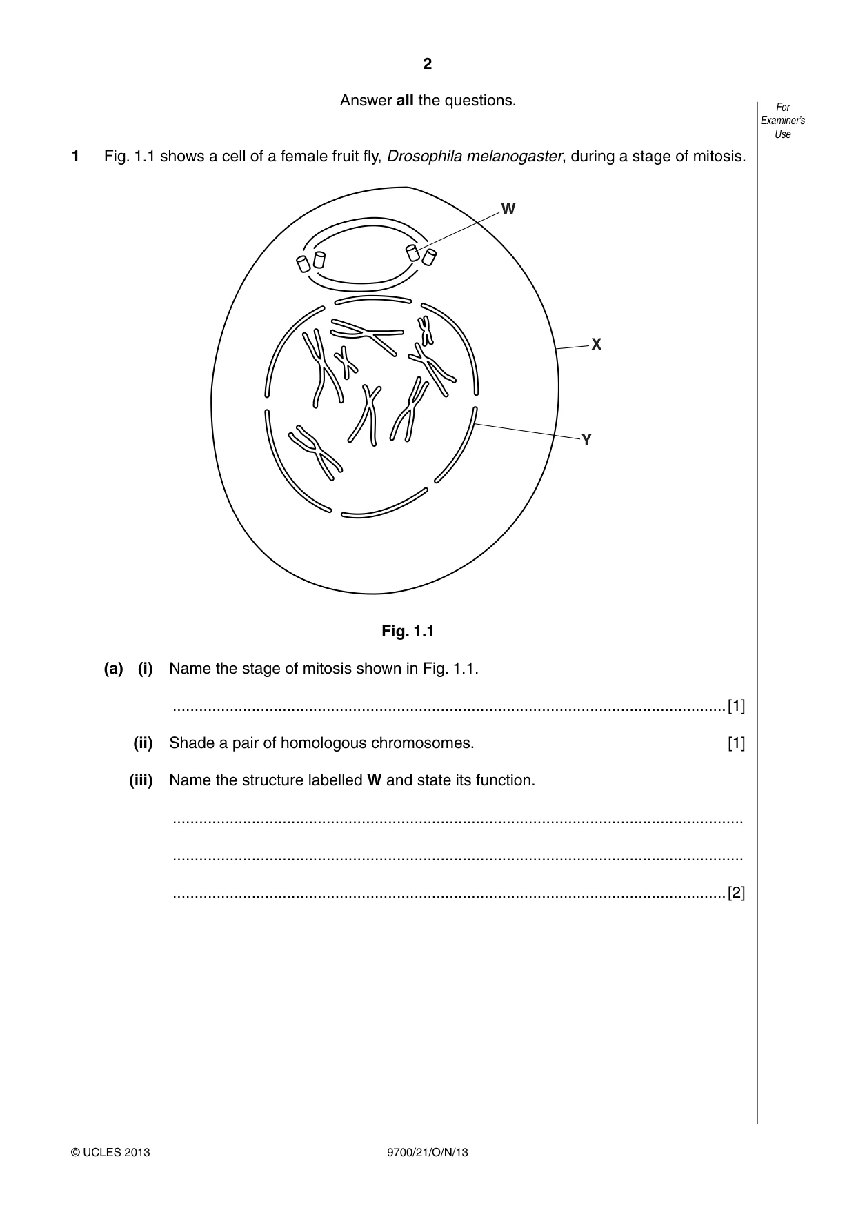 Cambridge A Level Biology 9700 2013 Oct/Nov Paper 2 · Variant 1 question paper, page 2 of 16