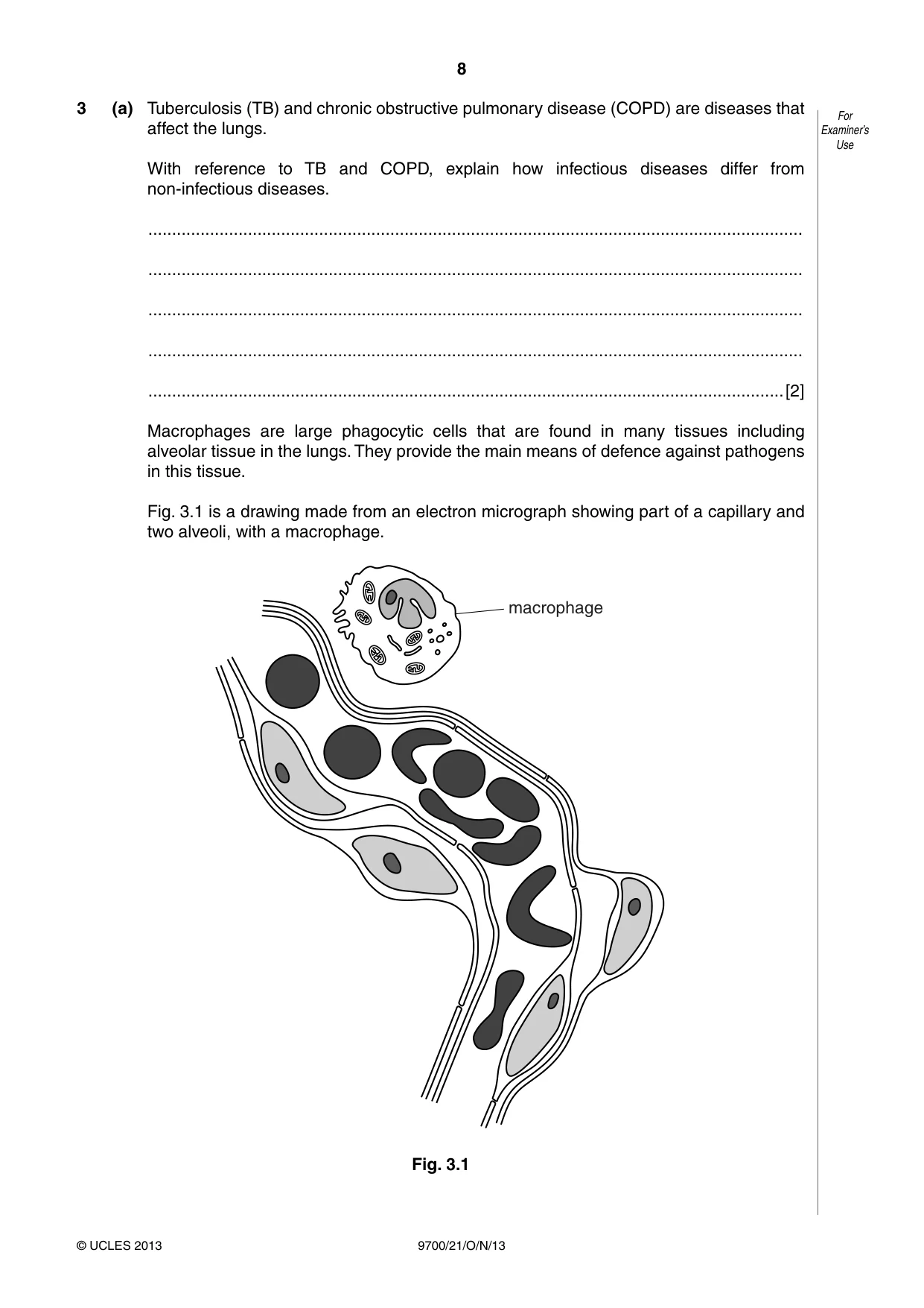 Cambridge A Level Biology 9700 2013 Oct/Nov Paper 2 · Variant 1 question paper, page 8 of 16