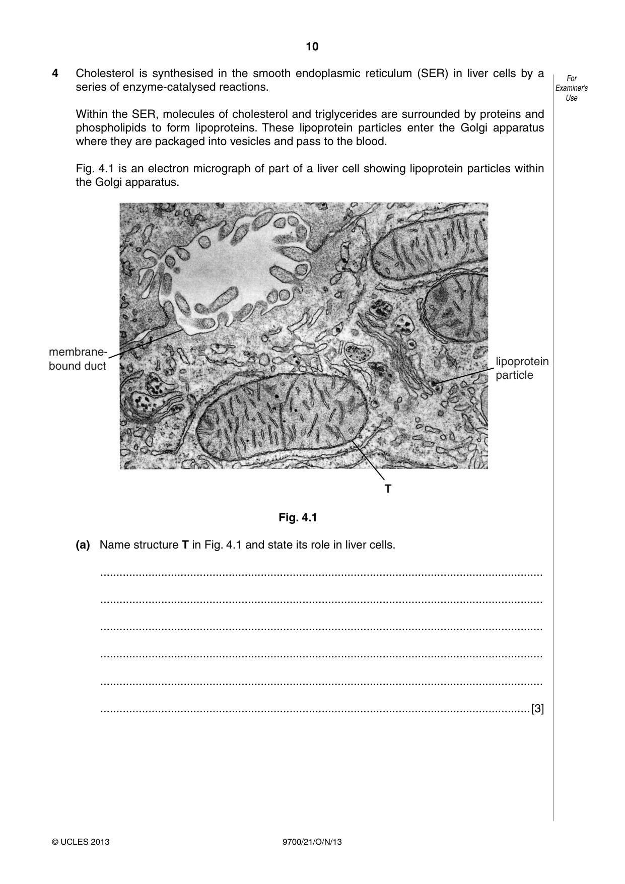Cambridge A Level Biology 9700 2013 Oct/Nov Paper 2 · Variant 1 question paper, page 10 of 16