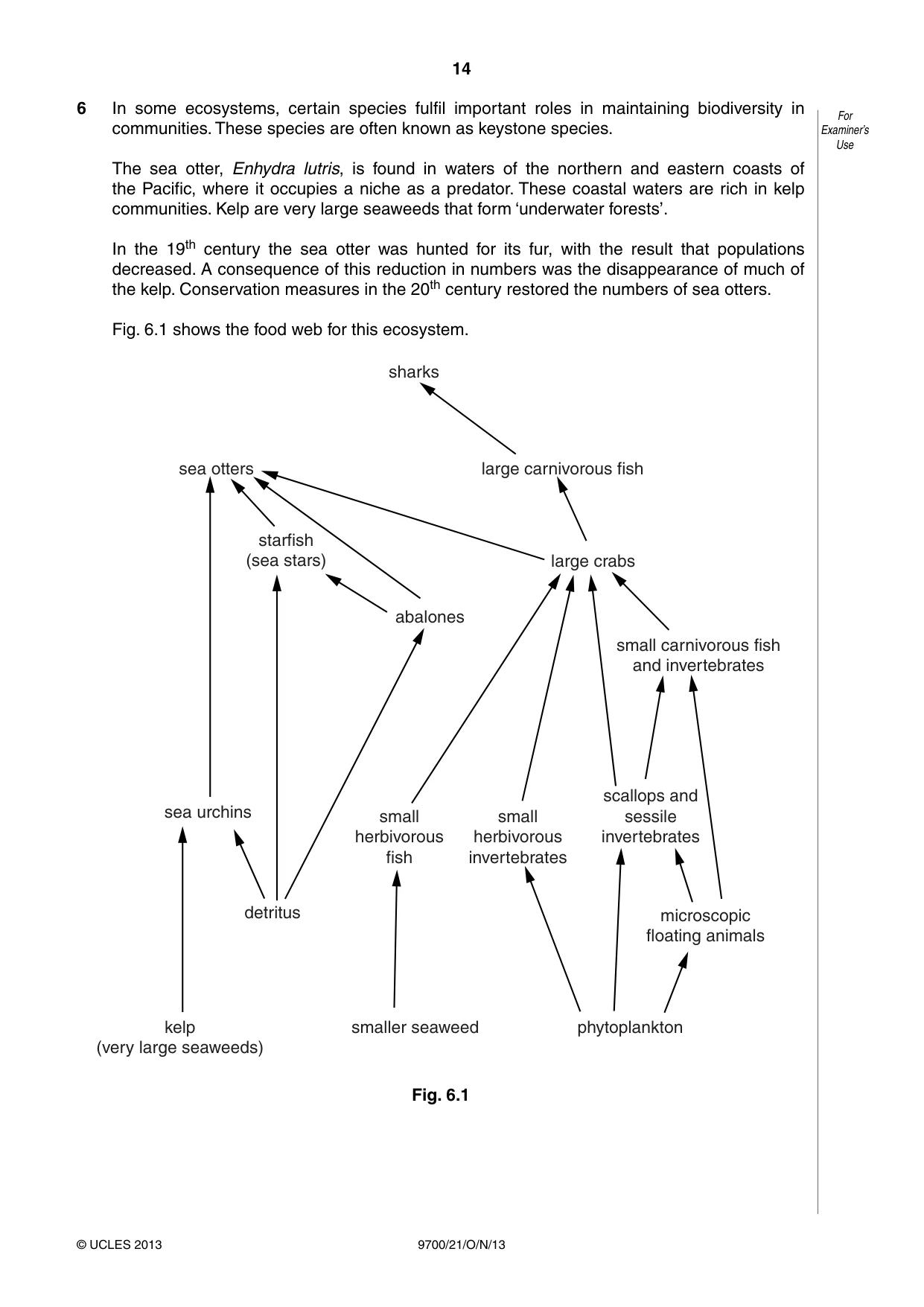 Cambridge A Level Biology 9700 2013 Oct/Nov Paper 2 · Variant 1 question paper, page 14 of 16