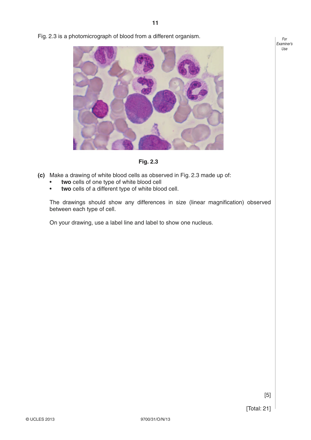 Cambridge A Level Biology 9700 2013 Oct/Nov Paper 3 · Variant 1 question paper, page 11 of 12