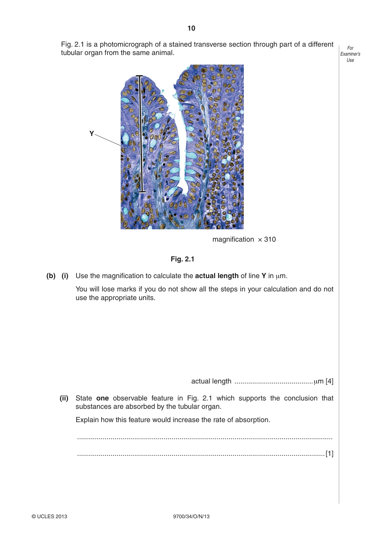 Cambridge A Level Biology 9700 2013 Oct/Nov Paper 3 · Variant 4 question paper, page 10 of 16