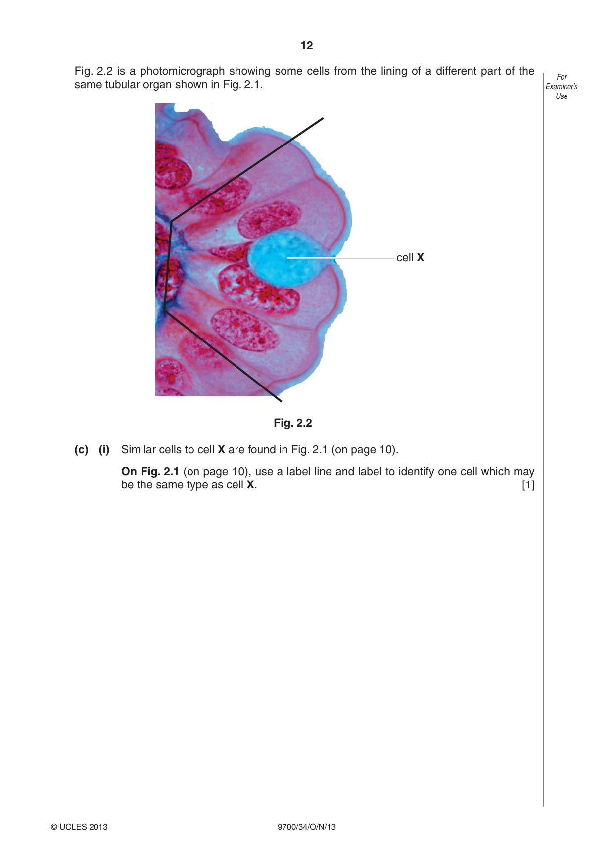Cambridge A Level Biology 9700 2013 Oct/Nov Paper 3 · Variant 4 question paper, page 12 of 16