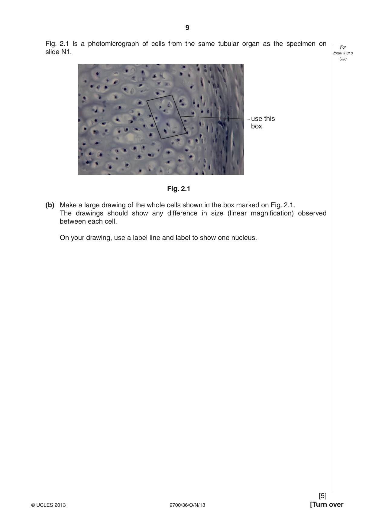 Cambridge A Level Biology 9700 2013 Oct/Nov Paper 3 · Variant 6 question paper, page 9 of 12