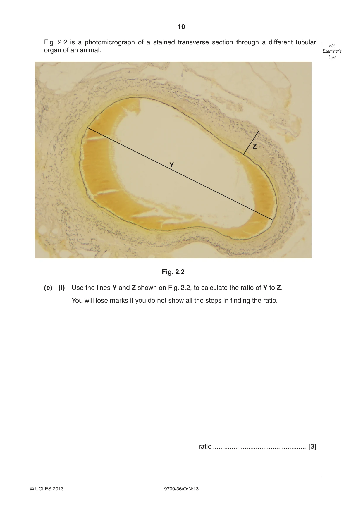 Cambridge A Level Biology 9700 2013 Oct/Nov Paper 3 · Variant 6 question paper, page 10 of 12