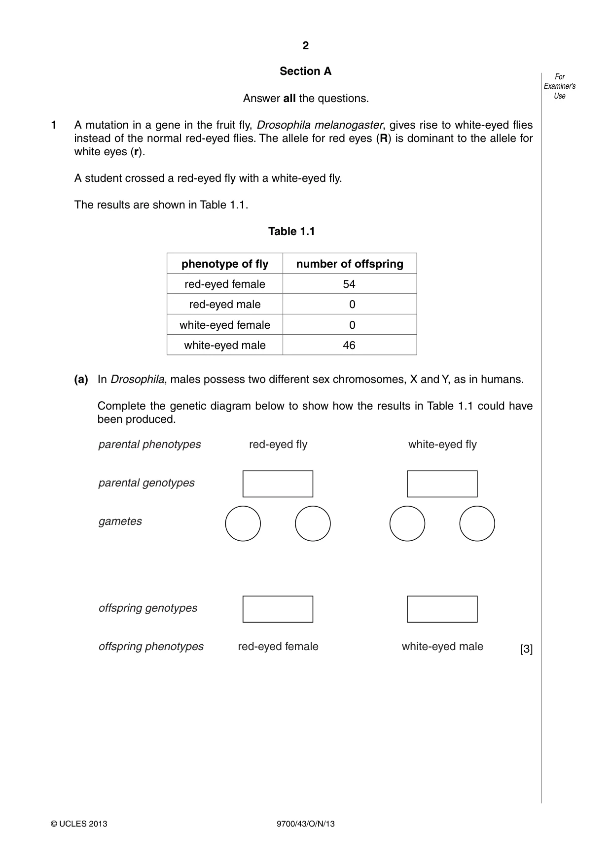 Cambridge A Level Biology 9700 2013 Oct/Nov Paper 4 · Variant 3 question paper, page 2 of 24