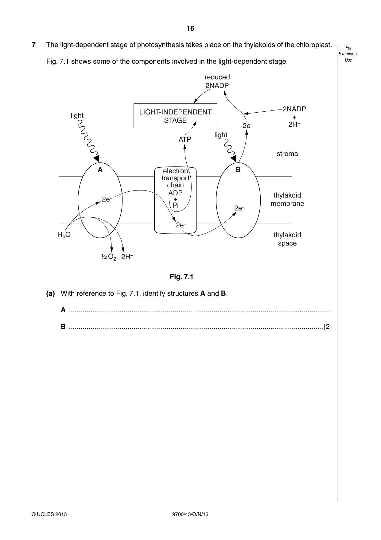 Cambridge A Level Biology 9700 2013 Oct/Nov Paper 4 · Variant 3 question paper, page 16 of 24