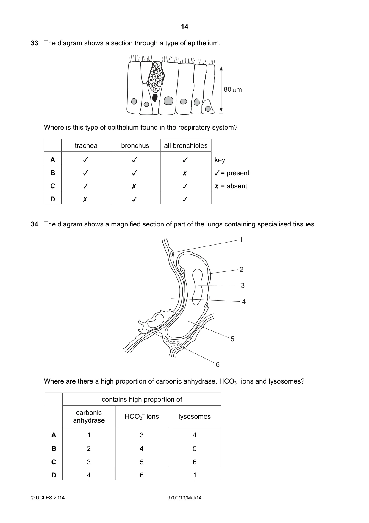 Cambridge A Level Biology 9700 2014 May/June Paper 1 · Variant 3 question paper, page 14 of 16