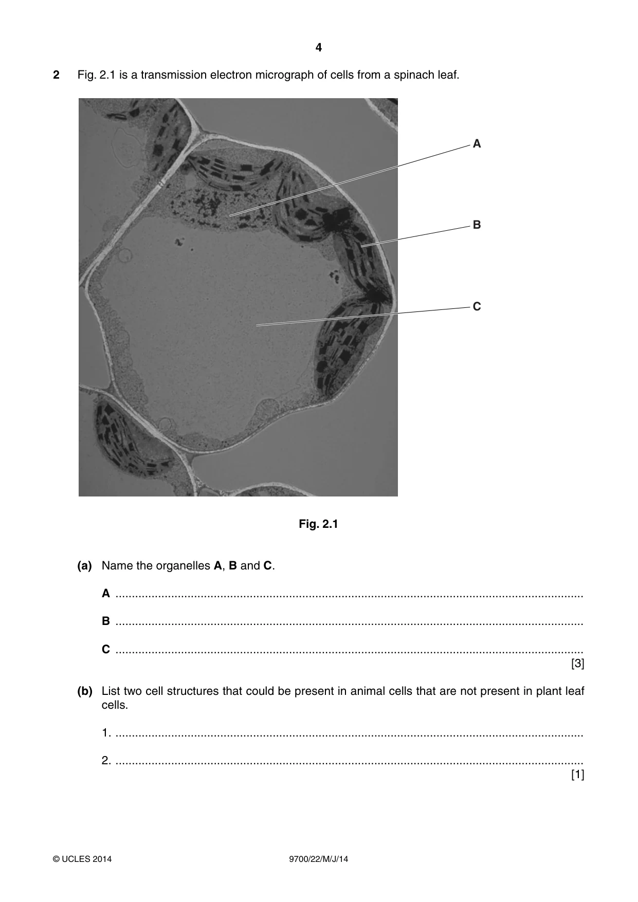 Cambridge A Level Biology 9700 2014 May/June Paper 2 · Variant 2 question paper, page 4 of 16