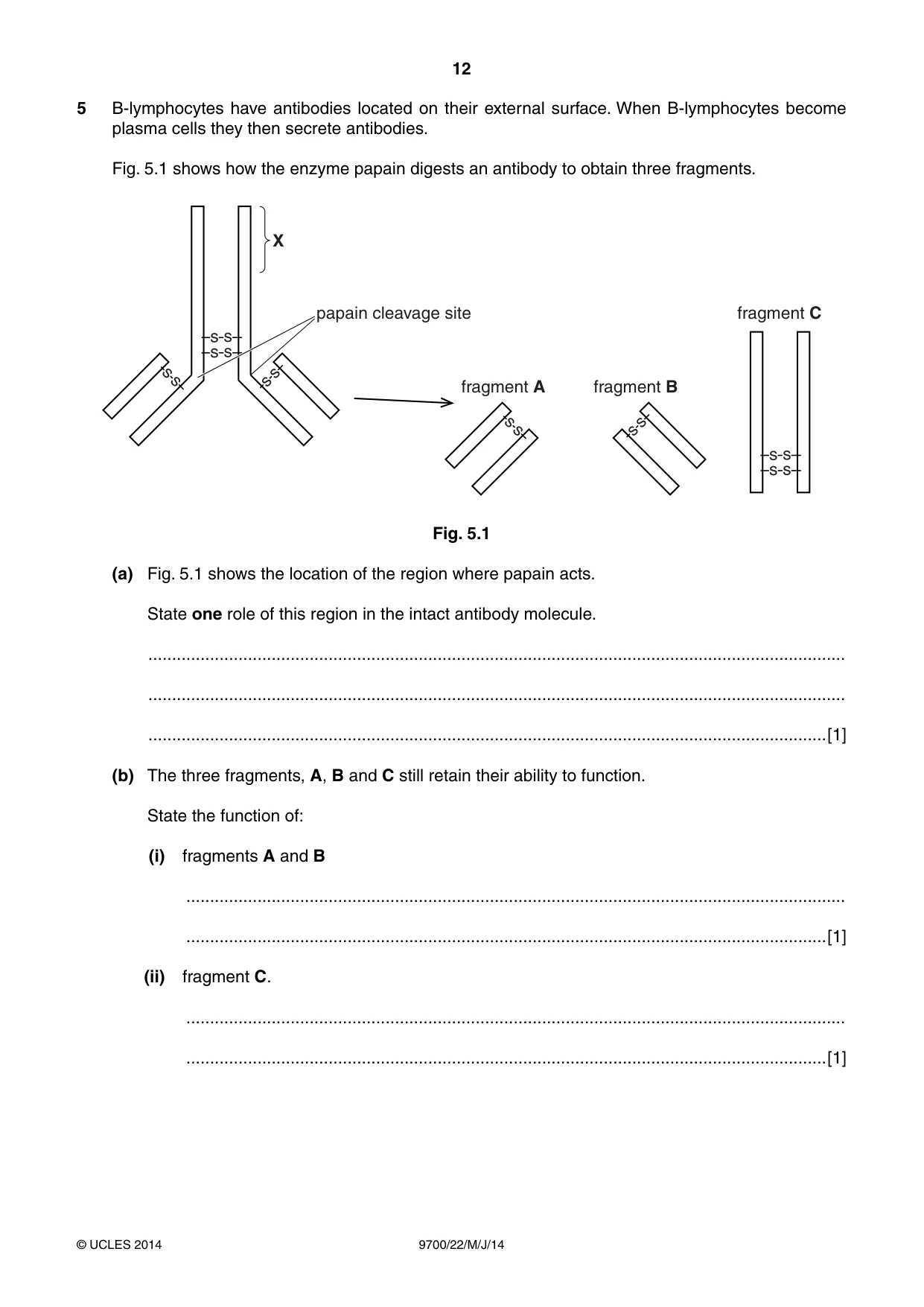 Cambridge A Level Biology 9700 2014 May/June Paper 2 · Variant 2 question paper, page 12 of 16