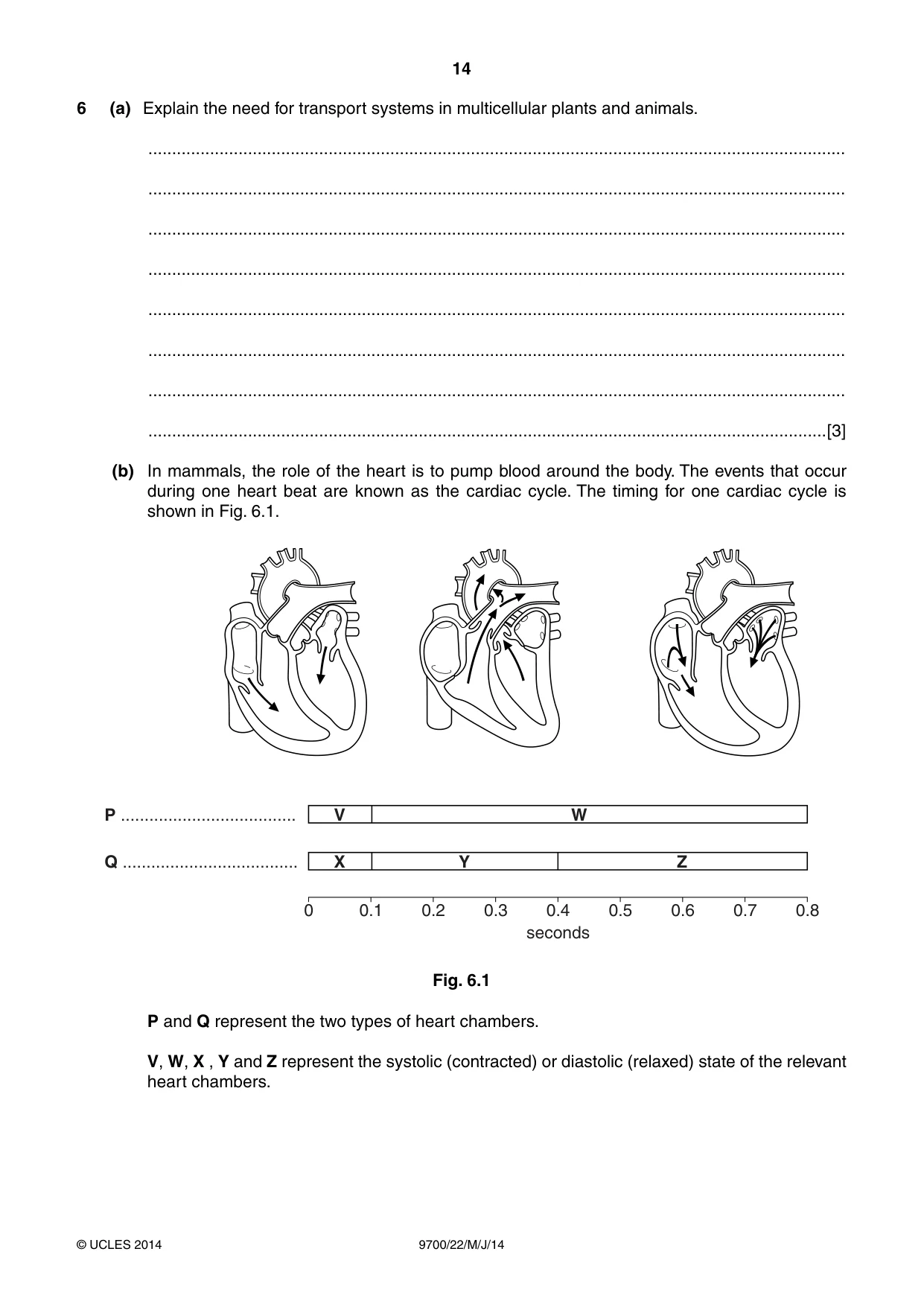 Cambridge A Level Biology 9700 2014 May/June Paper 2 · Variant 2 question paper, page 14 of 16