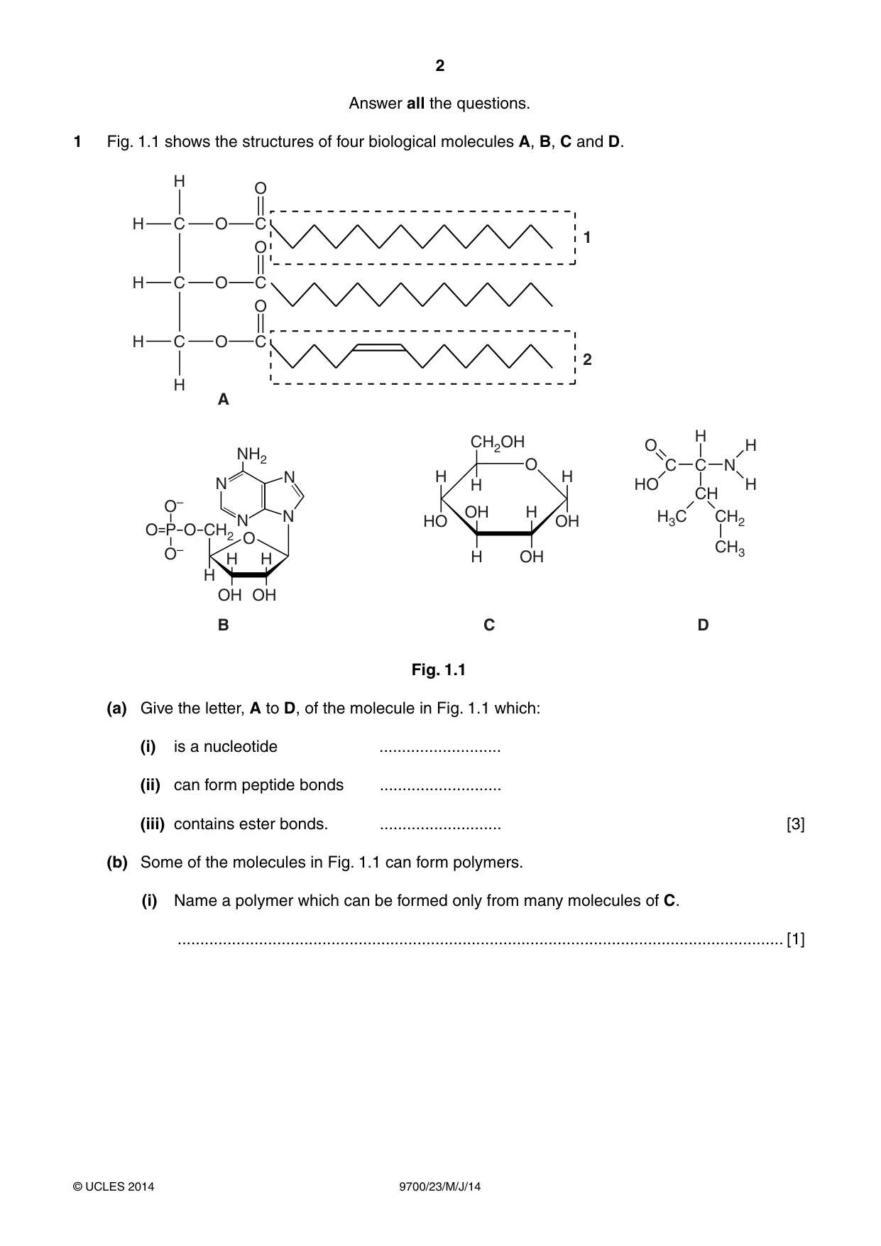 Cambridge A Level Biology 9700 2014 May/June Paper 2 · Variant 3 question paper, page 2 of 12