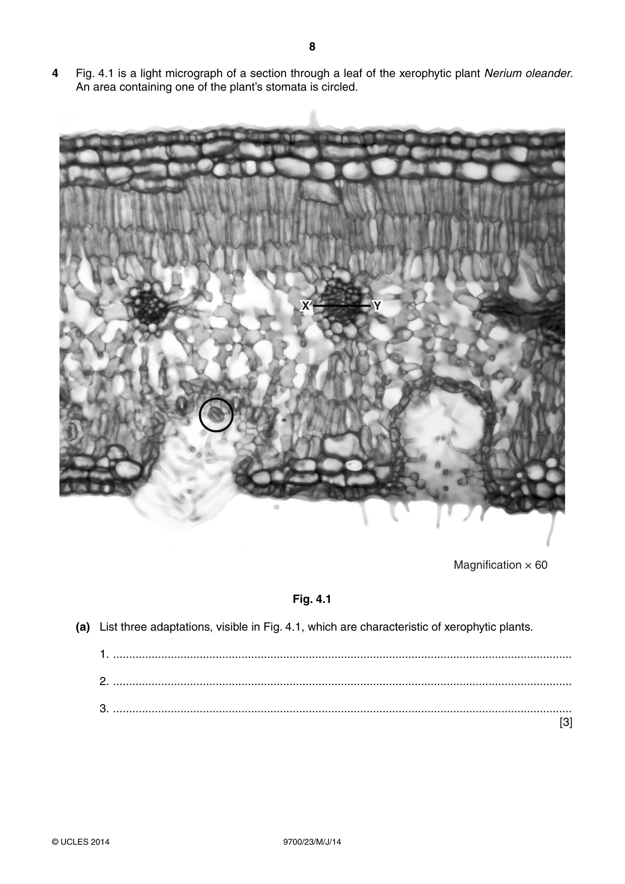 Cambridge A Level Biology 9700 2014 May/June Paper 2 · Variant 3 question paper, page 8 of 12