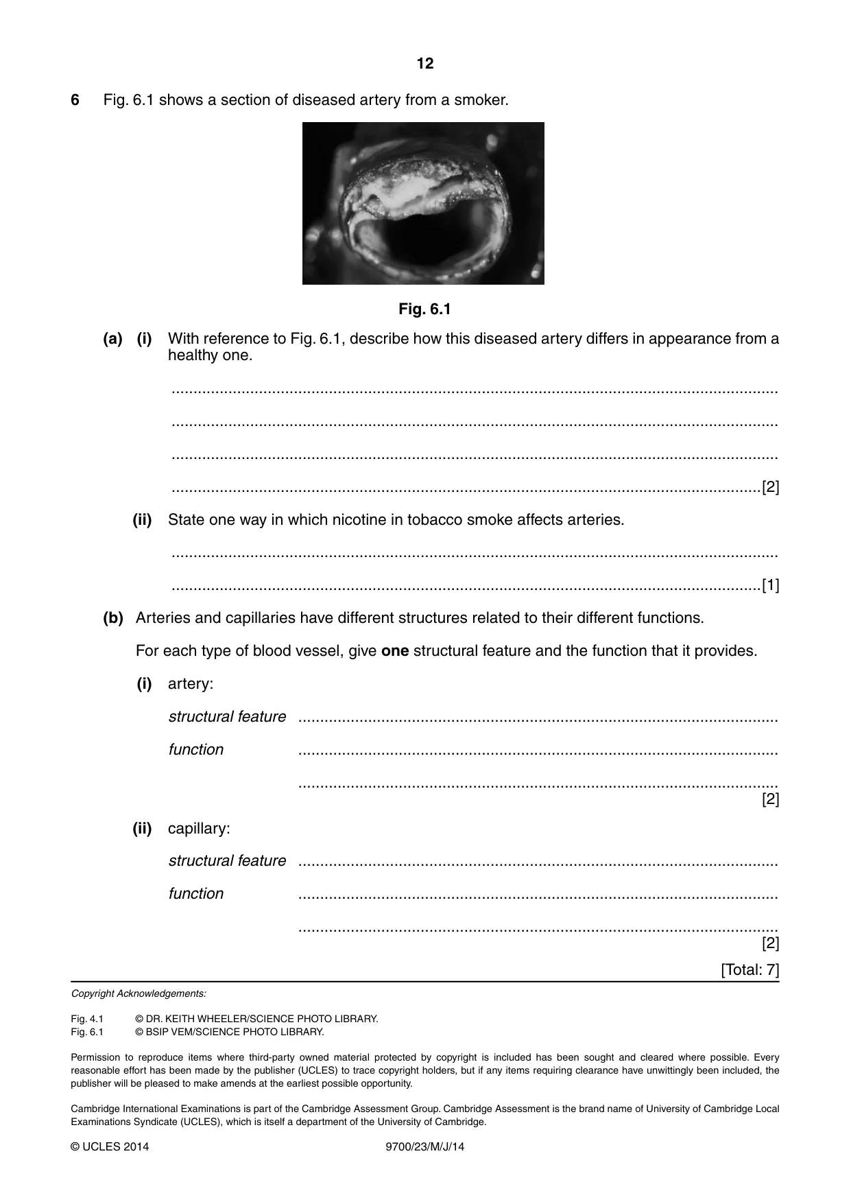 Cambridge A Level Biology 9700 2014 May/June Paper 2 · Variant 3 question paper, page 12 of 12