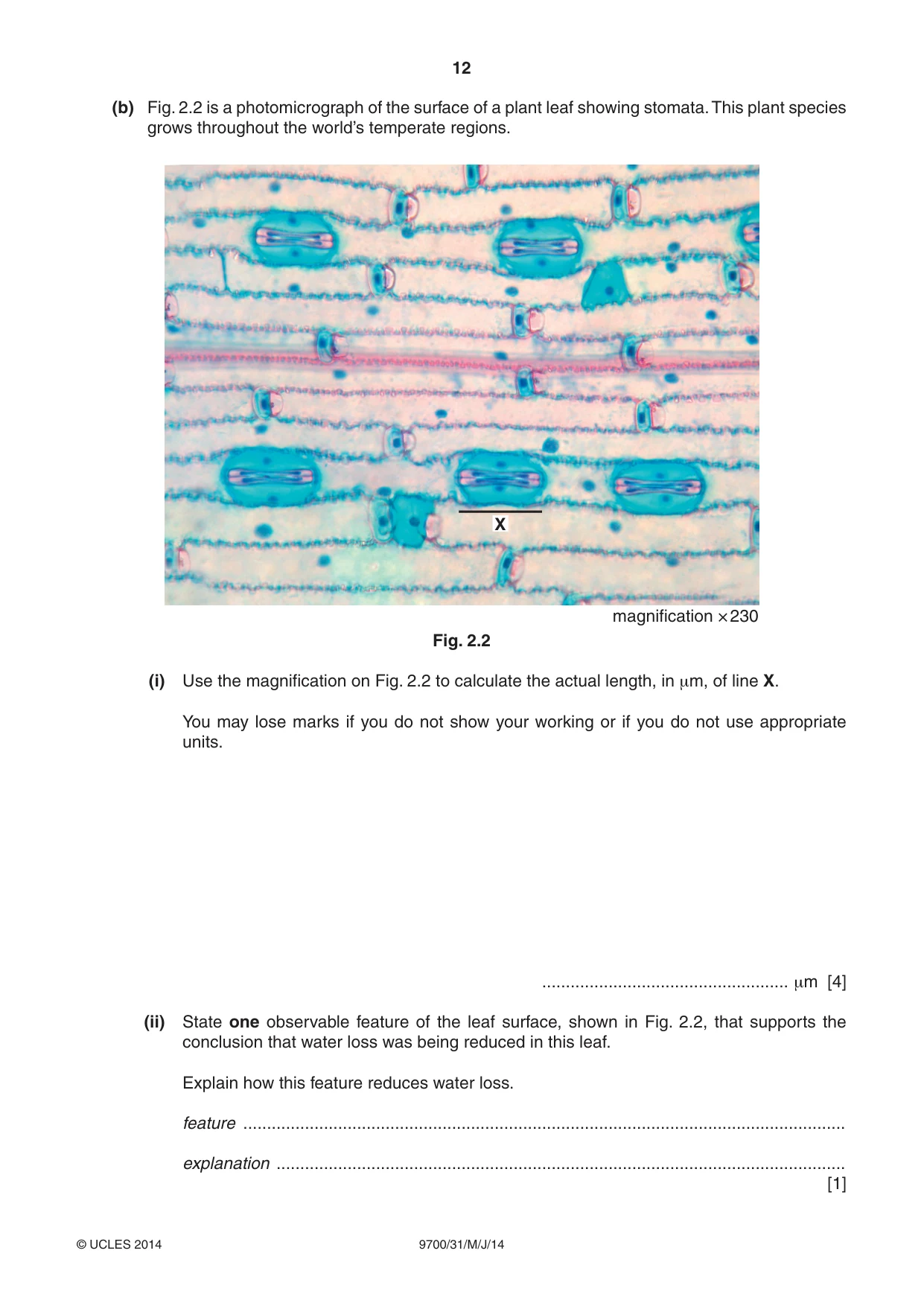 Cambridge A Level Biology 9700 2014 May/June Paper 3 · Variant 1 question paper, page 12 of 16