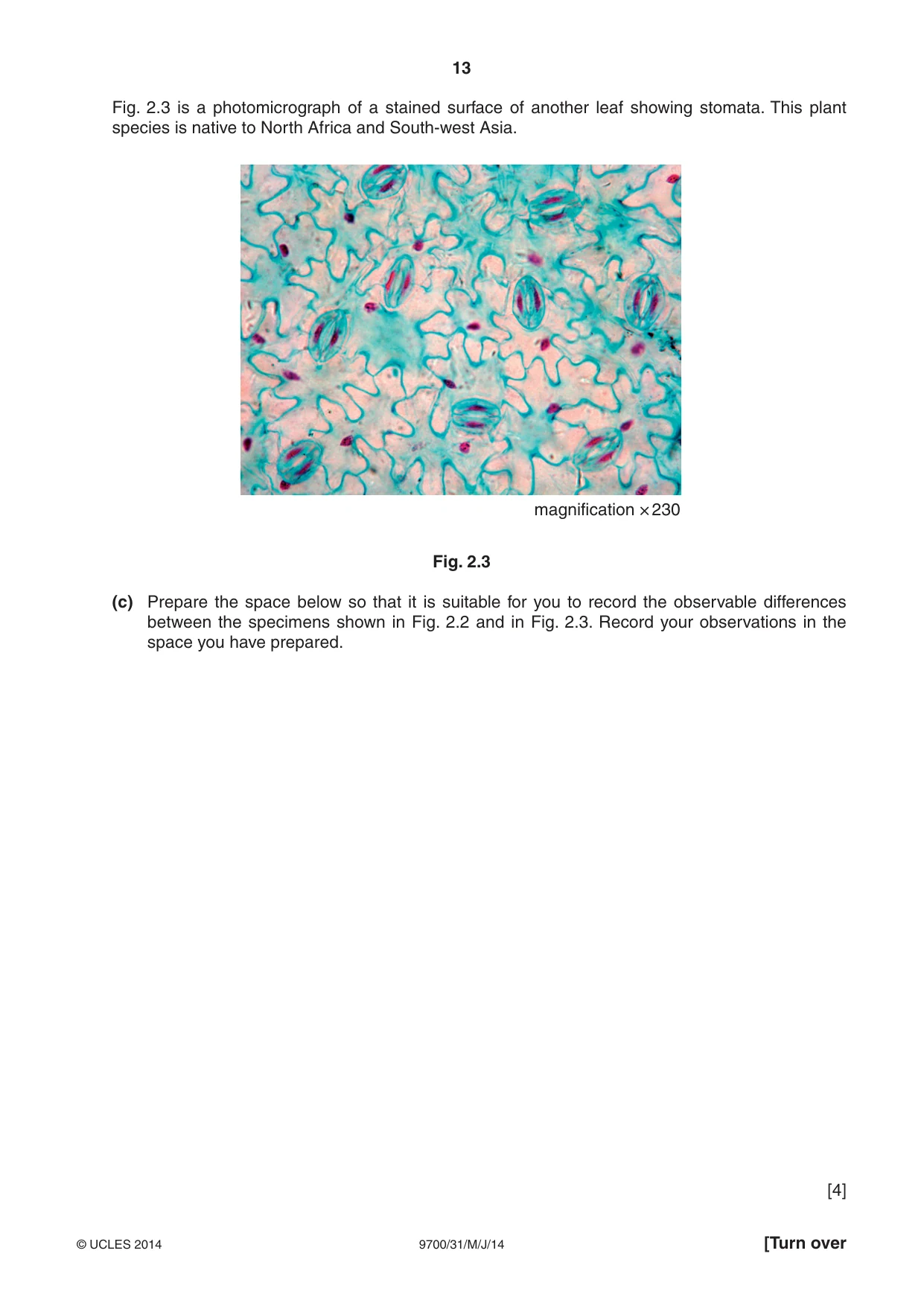 Cambridge A Level Biology 9700 2014 May/June Paper 3 · Variant 1 question paper, page 13 of 16