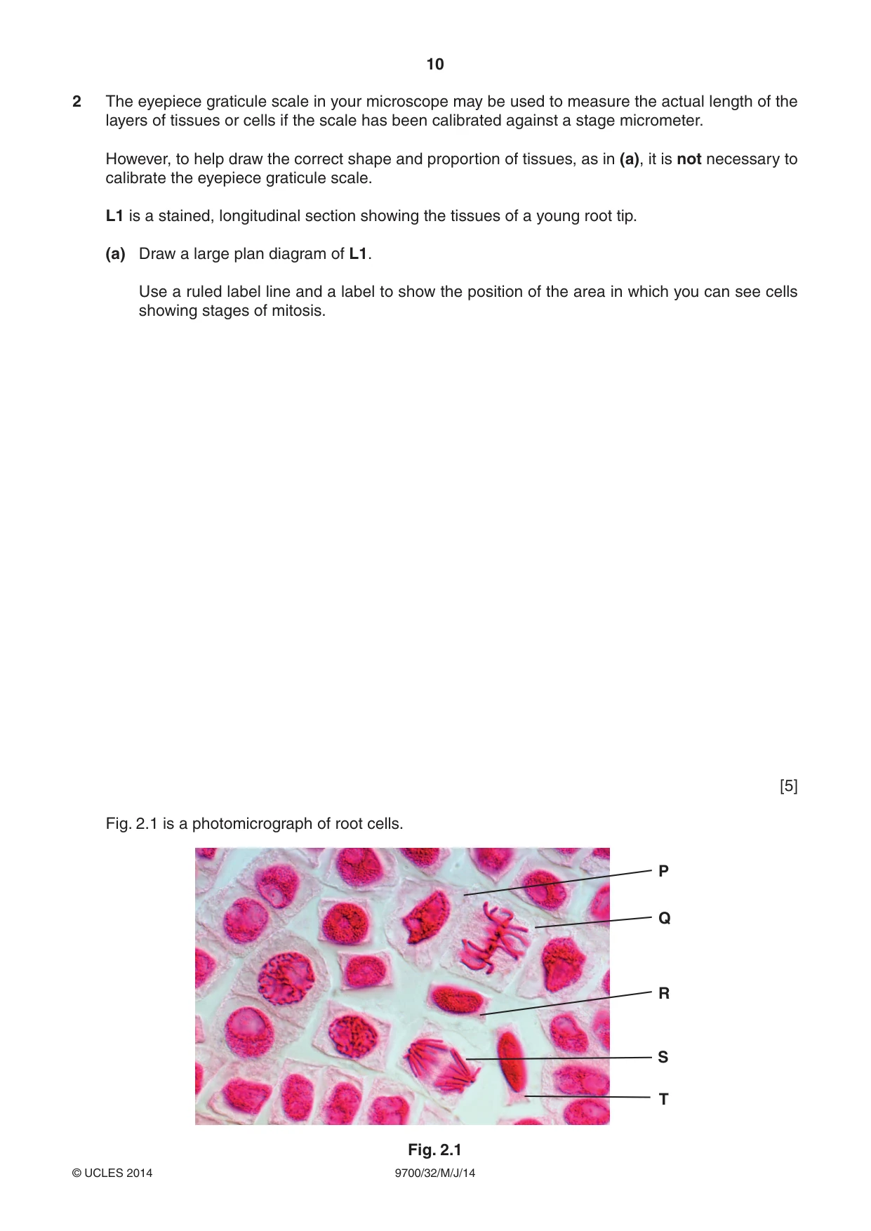 Cambridge A Level Biology 9700 2014 May/June Paper 3 · Variant 2 question paper, page 10 of 16