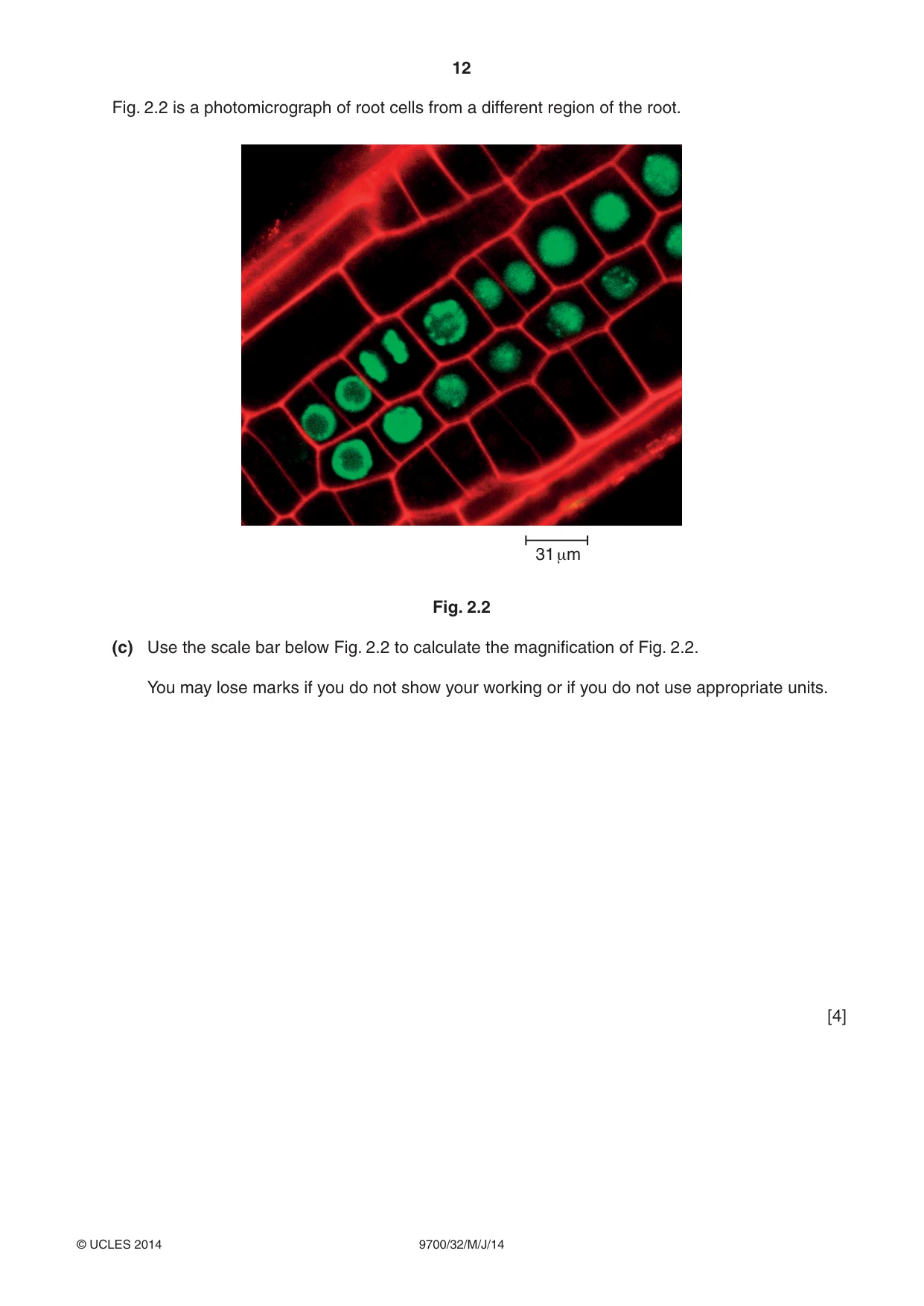 Cambridge A Level Biology 9700 2014 May/June Paper 3 · Variant 2 question paper, page 12 of 16