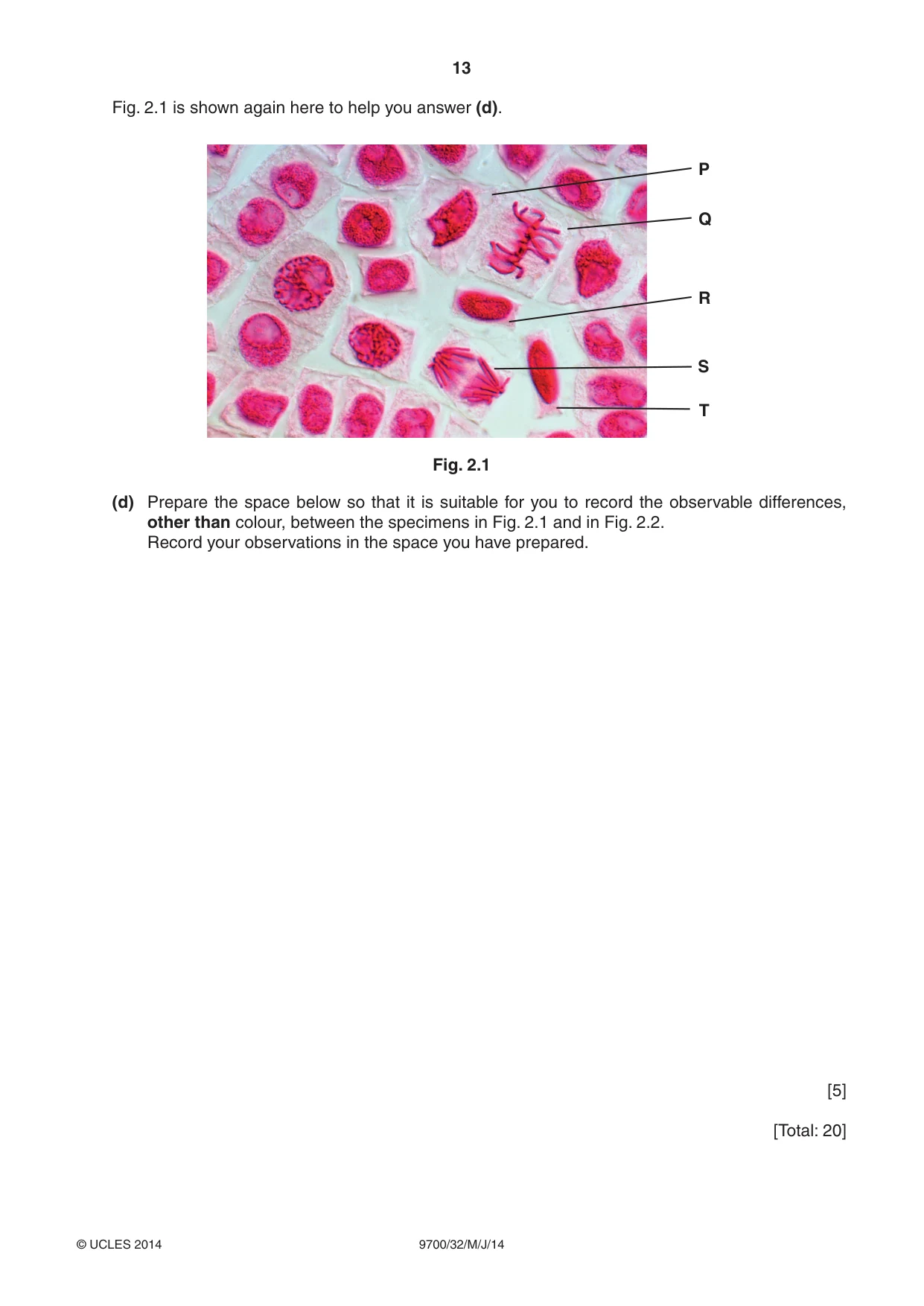 Cambridge A Level Biology 9700 2014 May/June Paper 3 · Variant 2 question paper, page 13 of 16