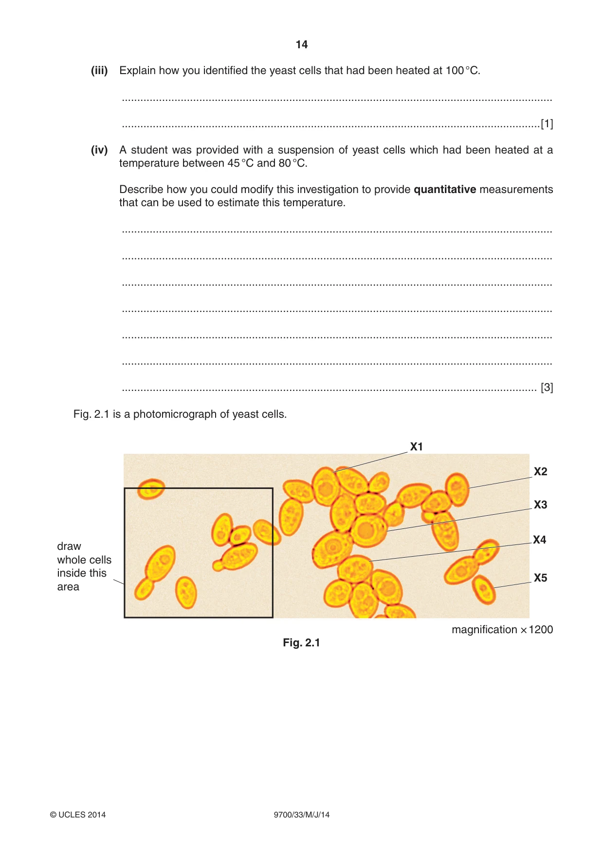 Cambridge A Level Biology 9700 2014 May/June Paper 3 · Variant 3 question paper, page 14 of 16